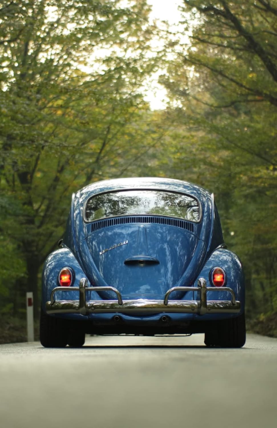 Das Fahrtenbuch: für über 1000 Fahrten. Inklusive Ausfüllhilfe, Tank- und Kostenprotokoll, 5 Jahresabrechnungen und bis zu 17 Fahrer! (German Edition) baixar o livro de graça