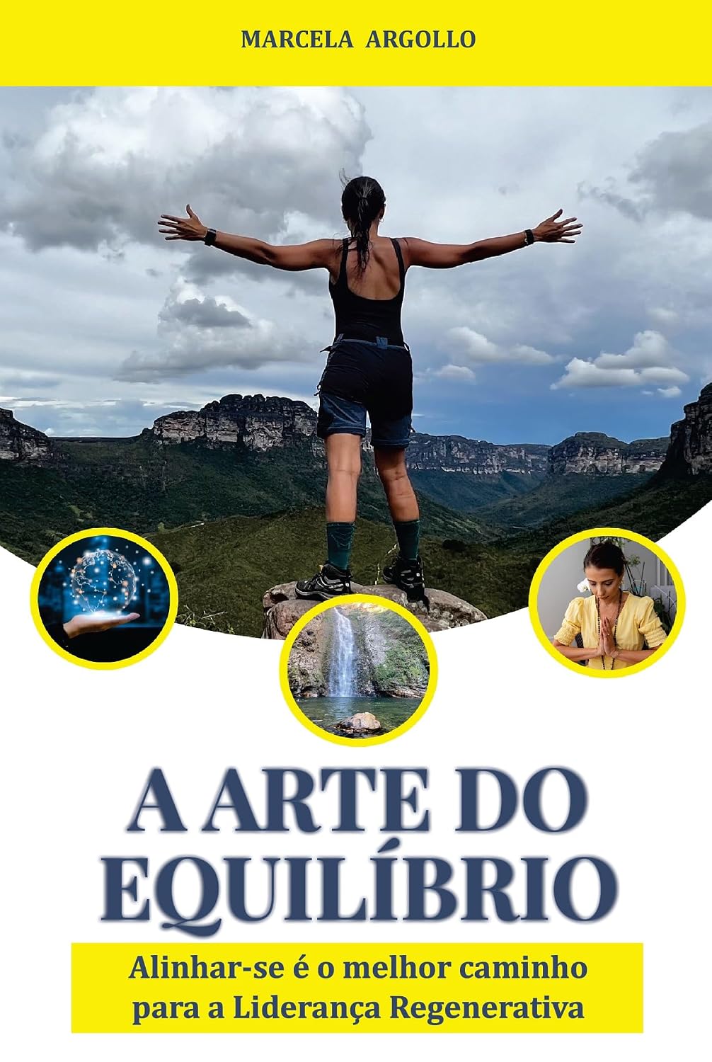 A arte do equilíbrio; Alinhar-se é o melhor caminho para a liderança regenerativa baixar livro de graça