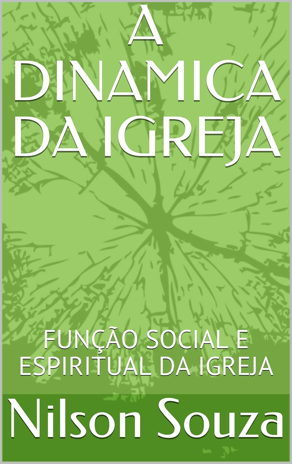 A DINAMICA DA IGREJA: FUNÇÃO SOCIAL E ESPIRITUAL DA IGREJA baixar o livro de graça