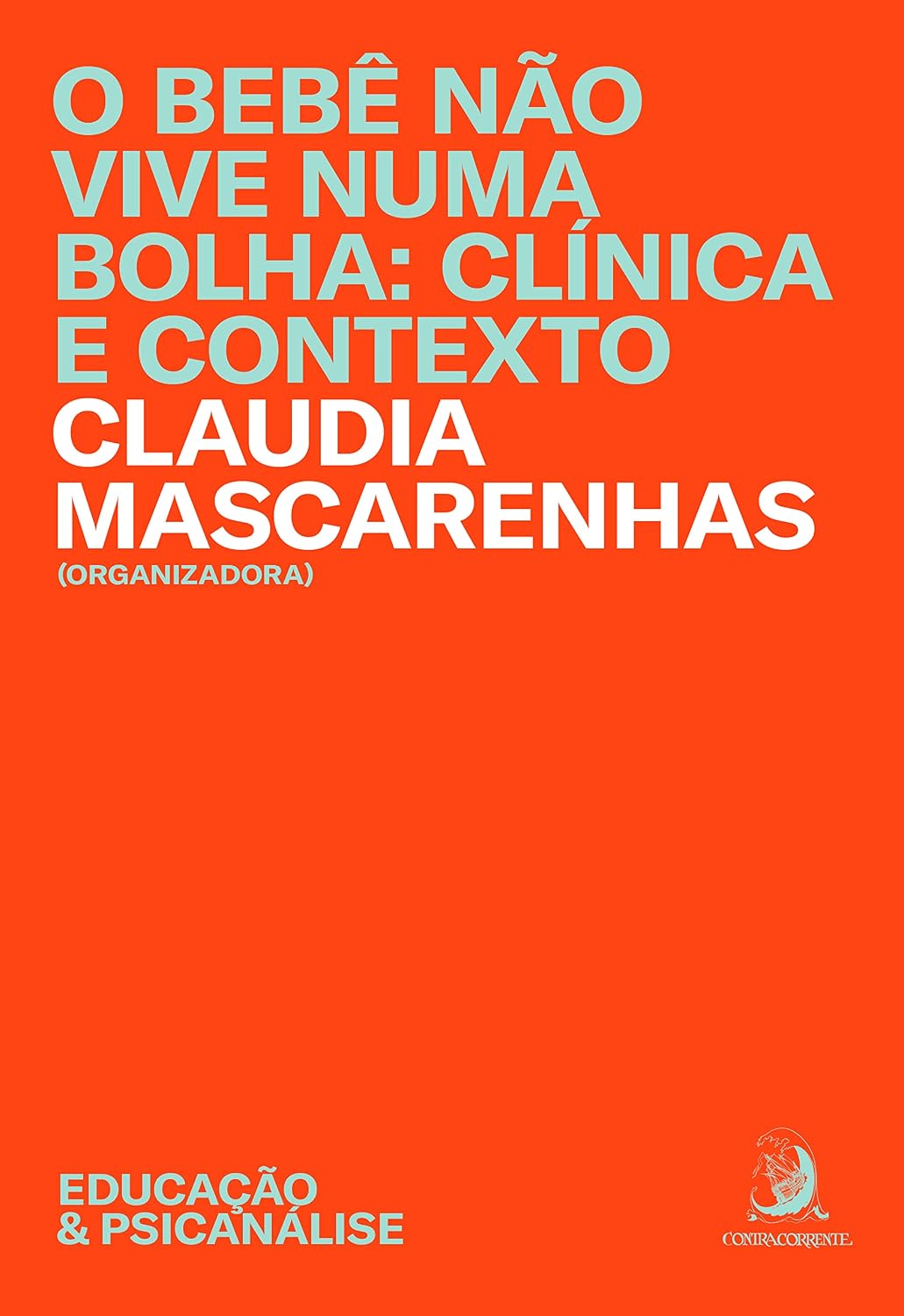 O Bebê Não Vive Numa Bolha: Clínica e Contexto baixar livro de graça