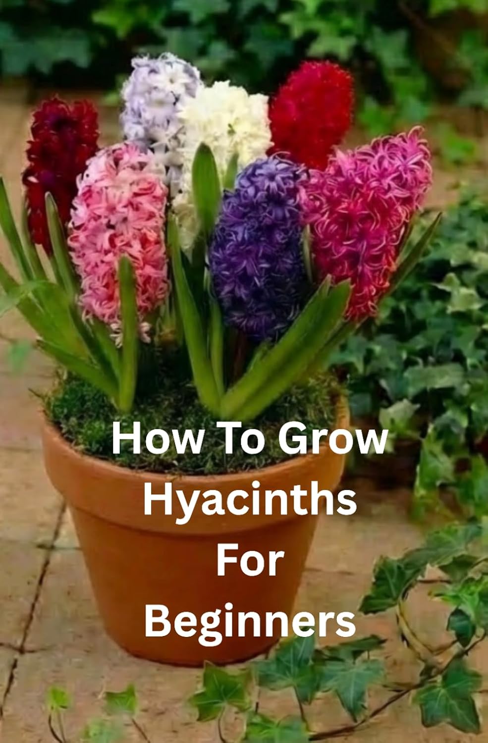 How To Grow Hyacinths For Beginners: The Essential Beginner’s Guide to Successful Hyacinth Growing Indoors and Outdoors baixar livro de graça