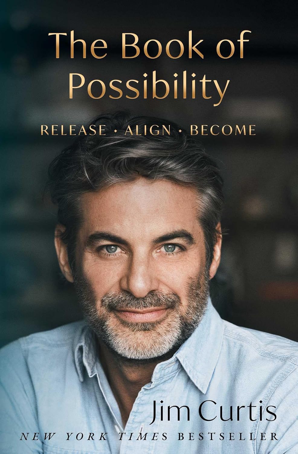 ler totalmente The Book of Possibility: Release. Align. Become. (English Edition)
