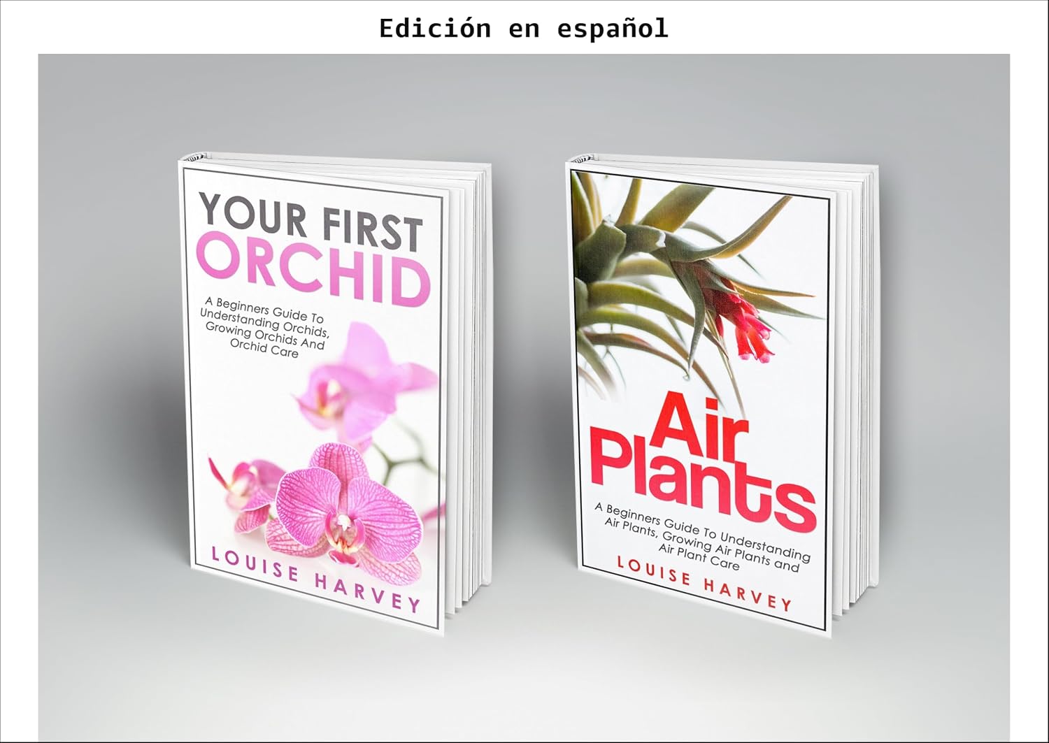 Plantas de Interior: Volumen IV (Spanish Edition) baixar livro de graça