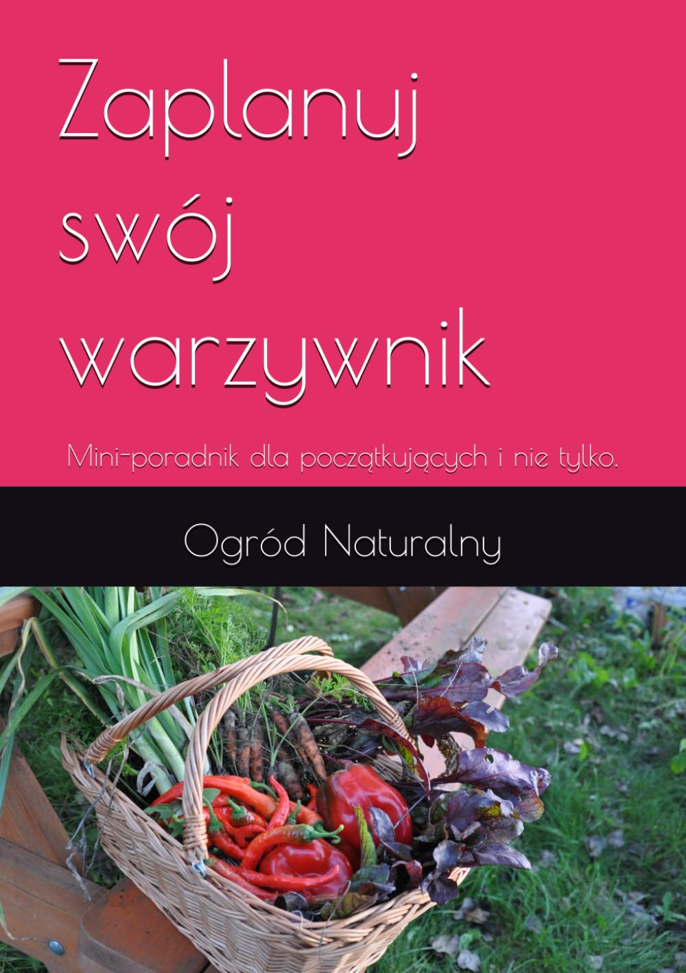 Zaplanuj swój warzywnik: Mini-poradnik dla początkujących i nie tylko. (Polish Edition) baixar livro de graça