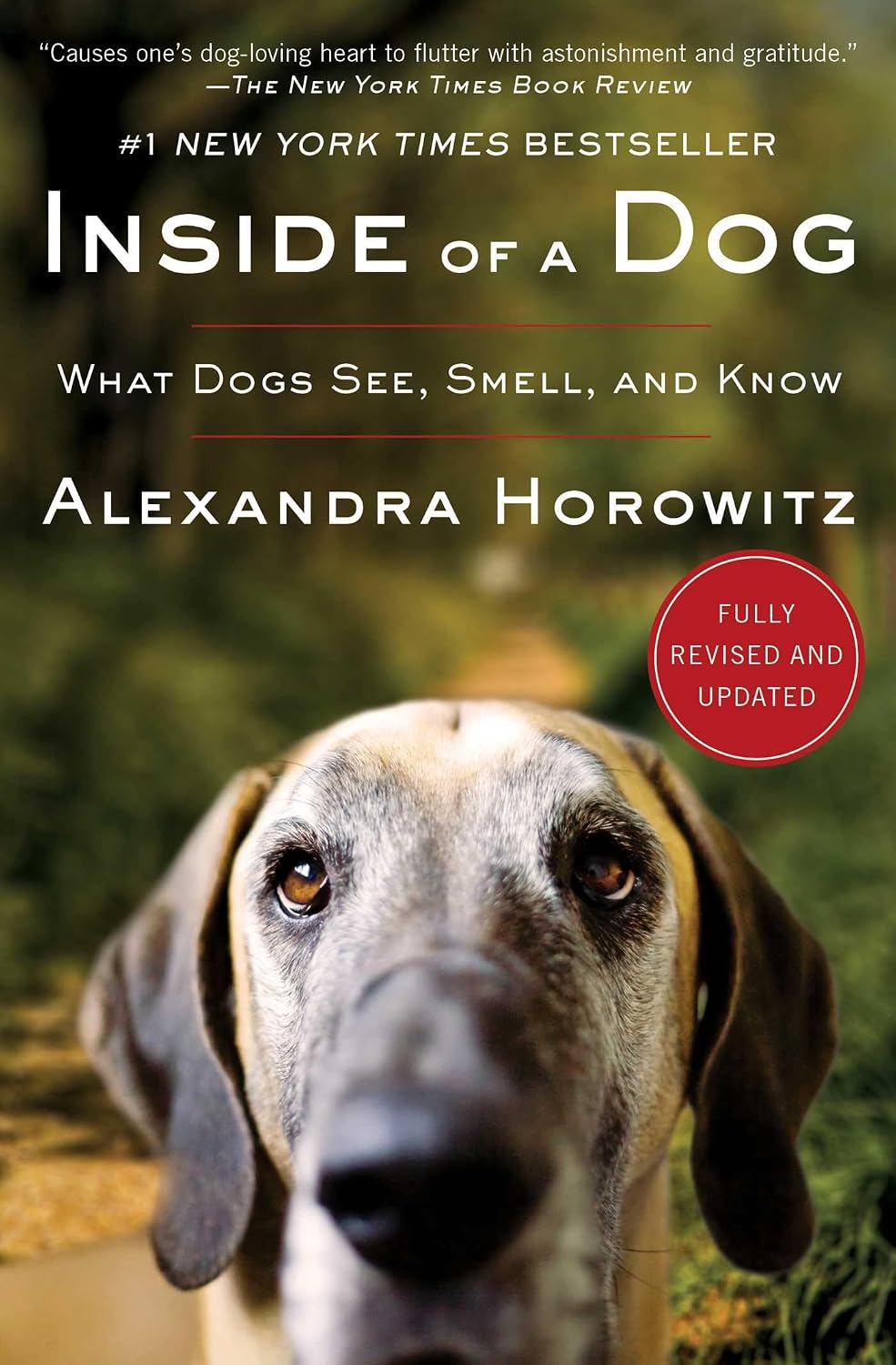 Inside of a Dog: What Dogs See, Smell, and Know (English Edition) baixar livro de graça