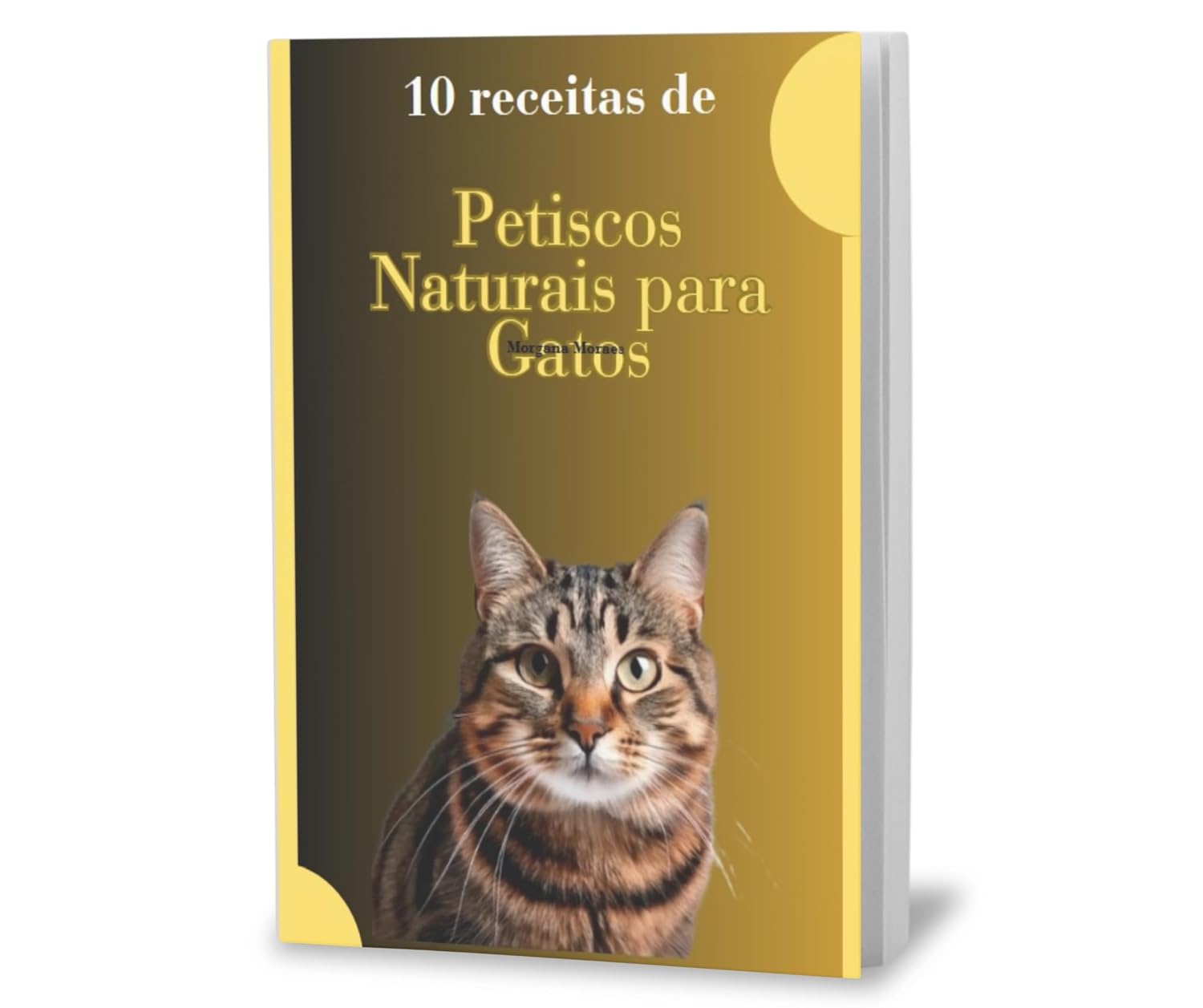 E-Book - 10 Receitas de Petiscos Naturais para Gatos: Petiscos para Gatos baixar livro de graça