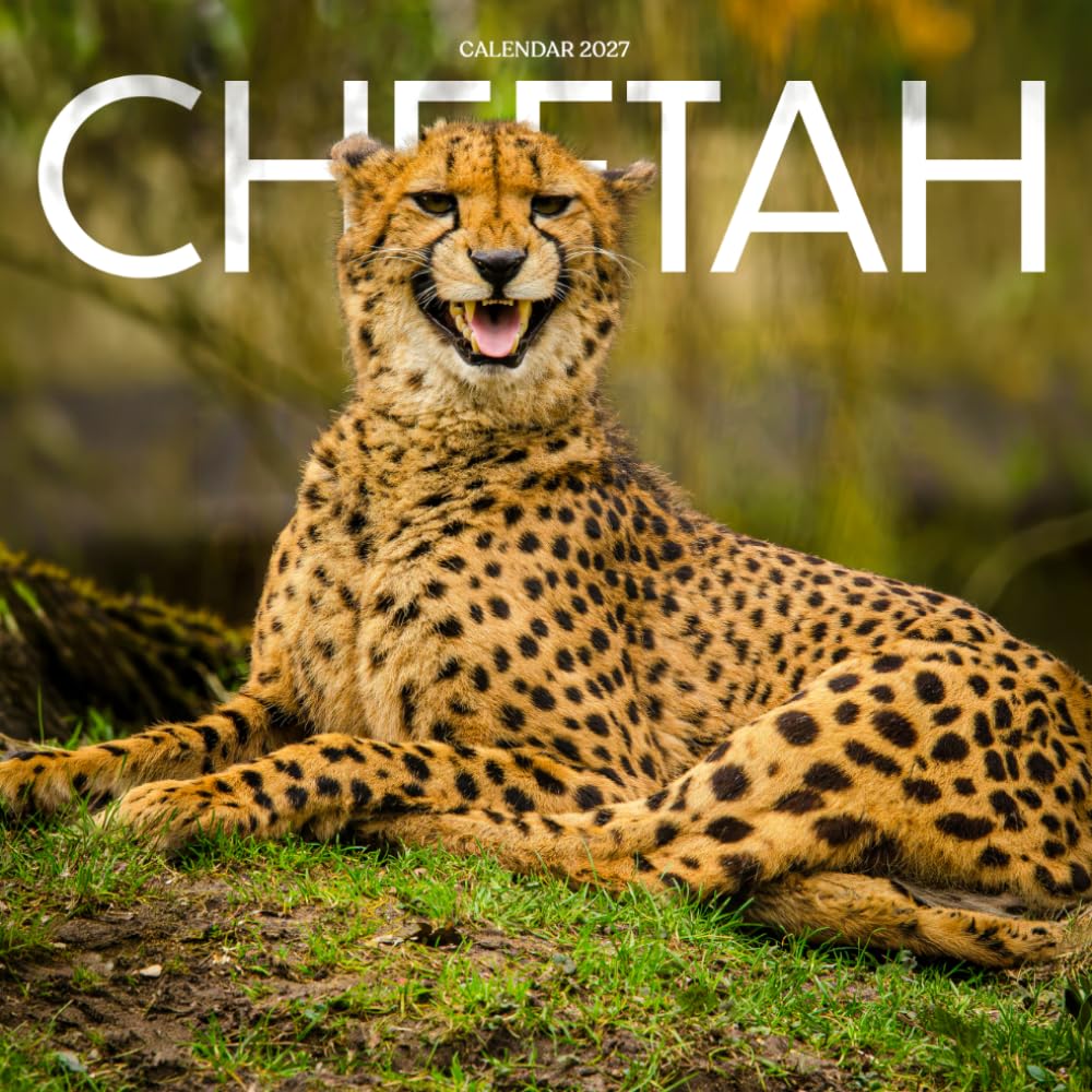 Cheetahs Calendar 2027: Big Cat Wildlife and Natural Scenes baixar o livro de graça