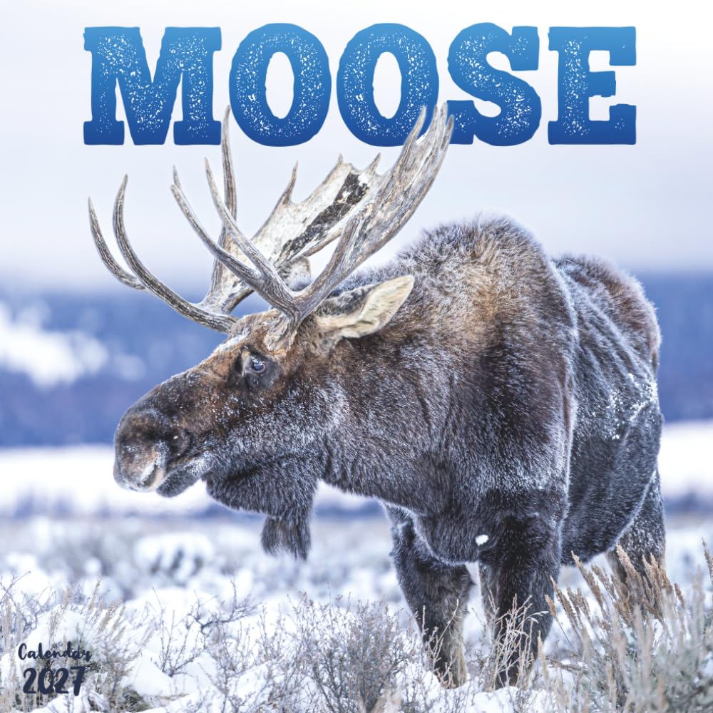 Moose 2027 Calendar: 12 Months of North America's Largest Deer baixar o livro de graça