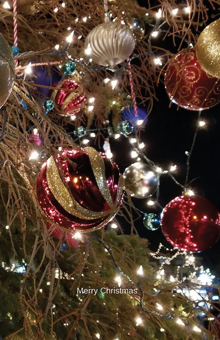 ler totalmente Merry Christmas: Journal/Planner