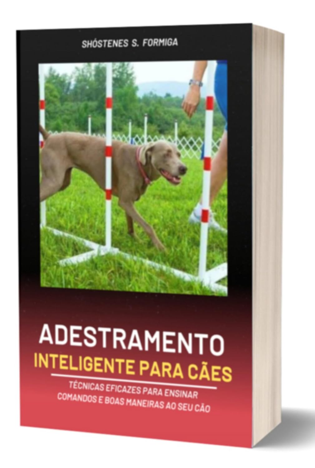 Adestramento Inteligente Para Cães baixar o livro de graça