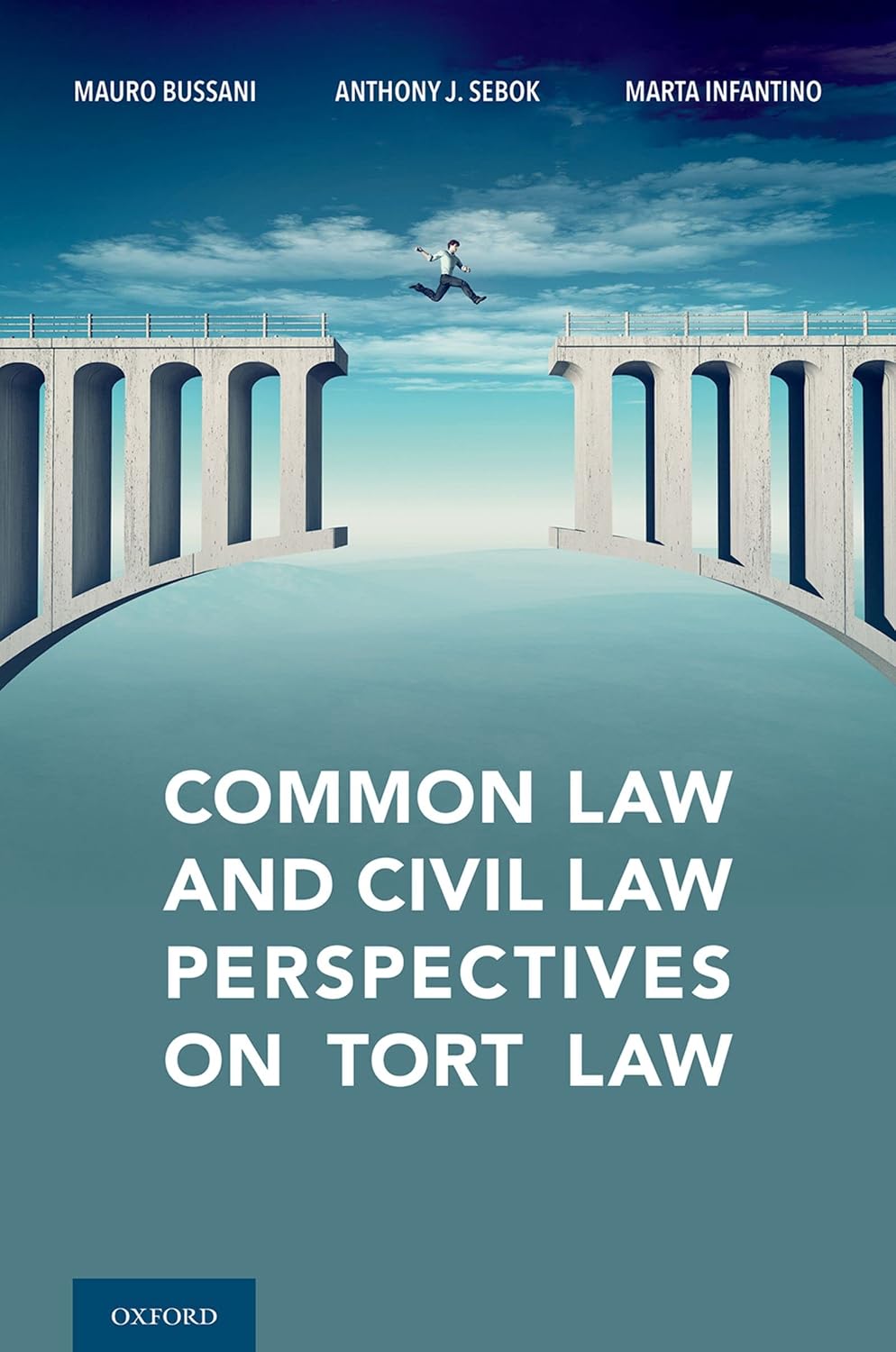 Common Law and Civil Law Perspectives on Tort Law (English Edition) baixar livro de graça