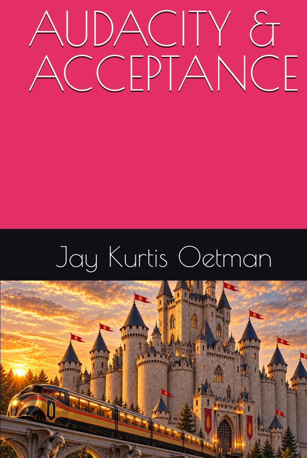 AUDACITY & ACCEPTANCE baixar livro de graça