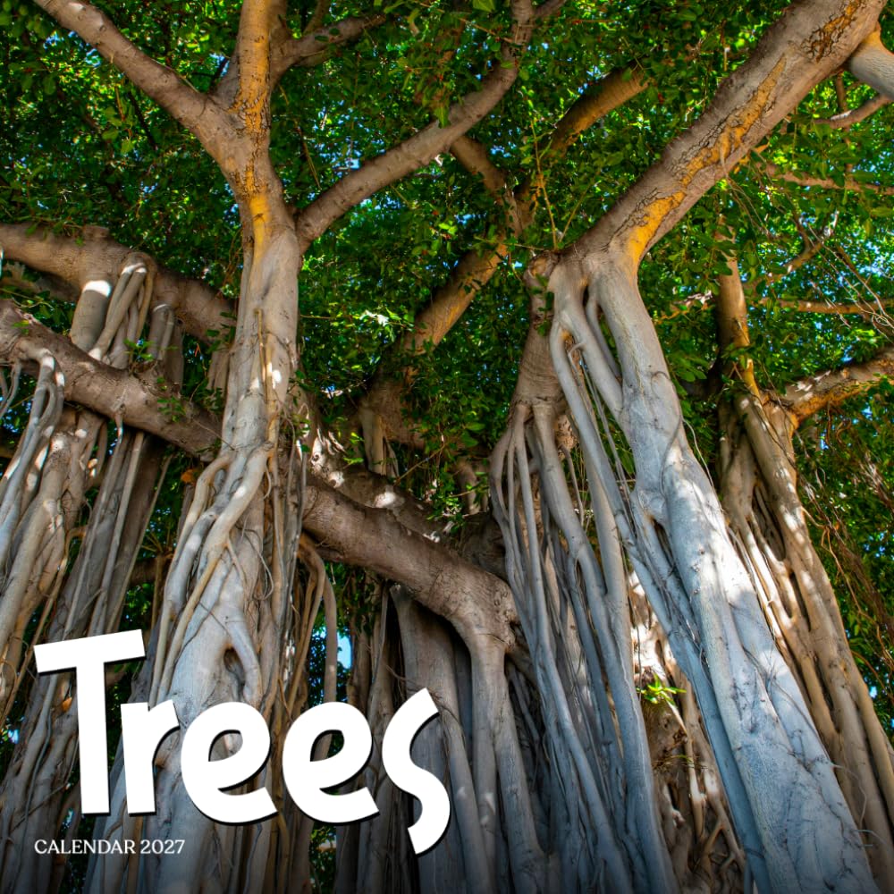 ler totalmente Trees Calendar 2027: Forests, Trees and Natural Landscapes