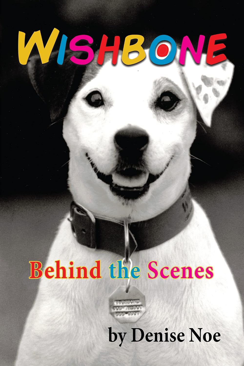 Wishbone - Behind the Scenes (English Edition) baixar livro de graça