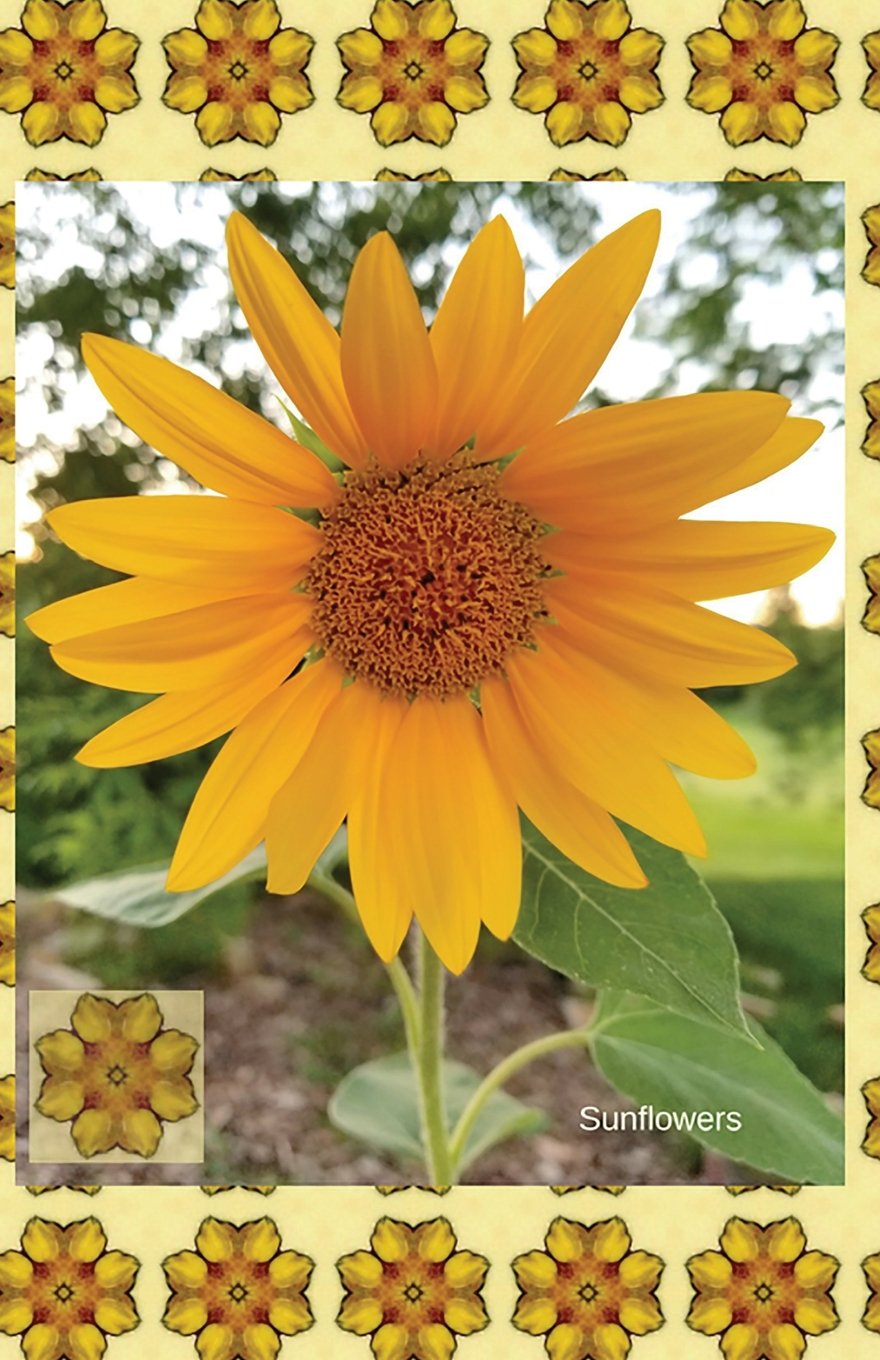 Sunflowers: Journal/Planner baixar livro de graça