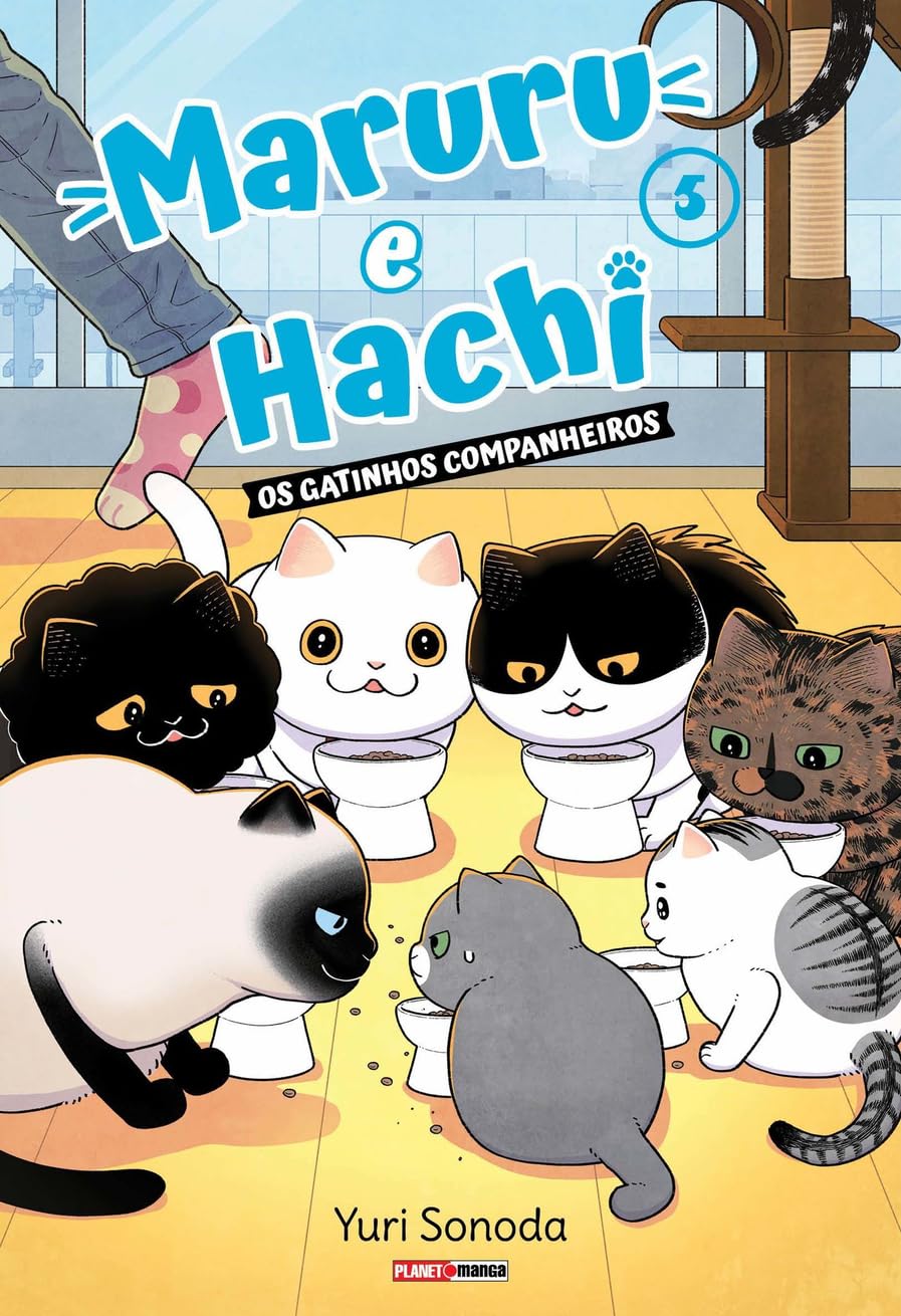 ler totalmente Maruru e hachi: os gatinhos companheiros 05