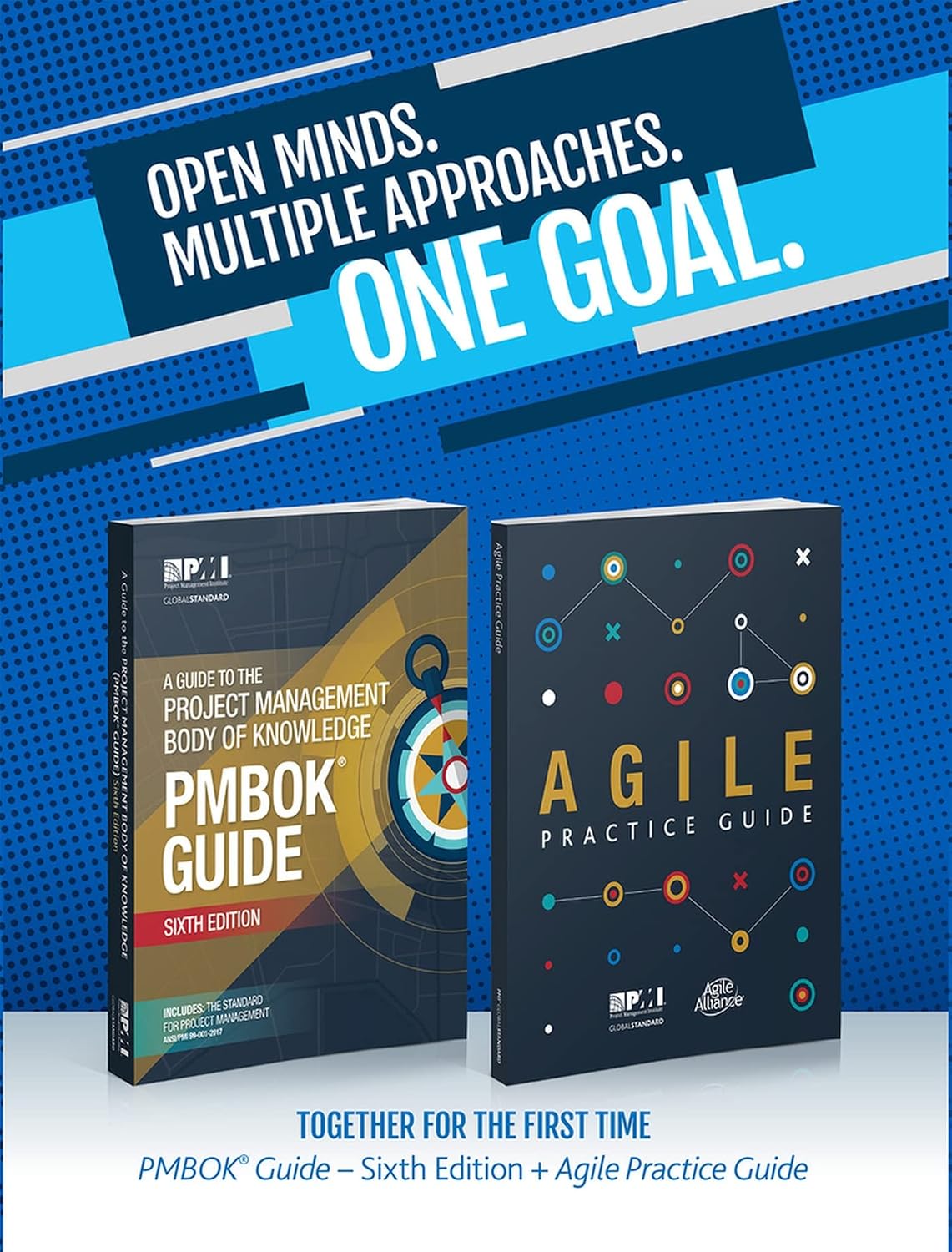 A guide to the Project Management Body of Knowledge (PMBOK guide) & Agile practice guide bundle baixar livro de graça