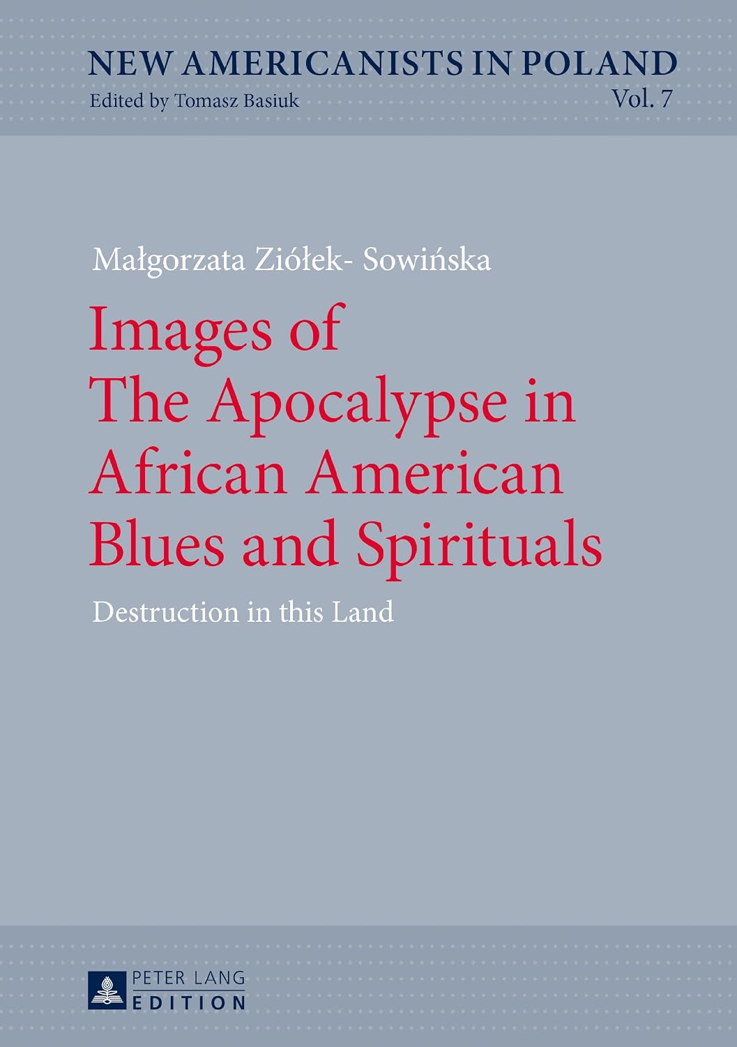Images of The Apocalypse in African American Blues and Spirituals: Destruction in this Land (English Edition)