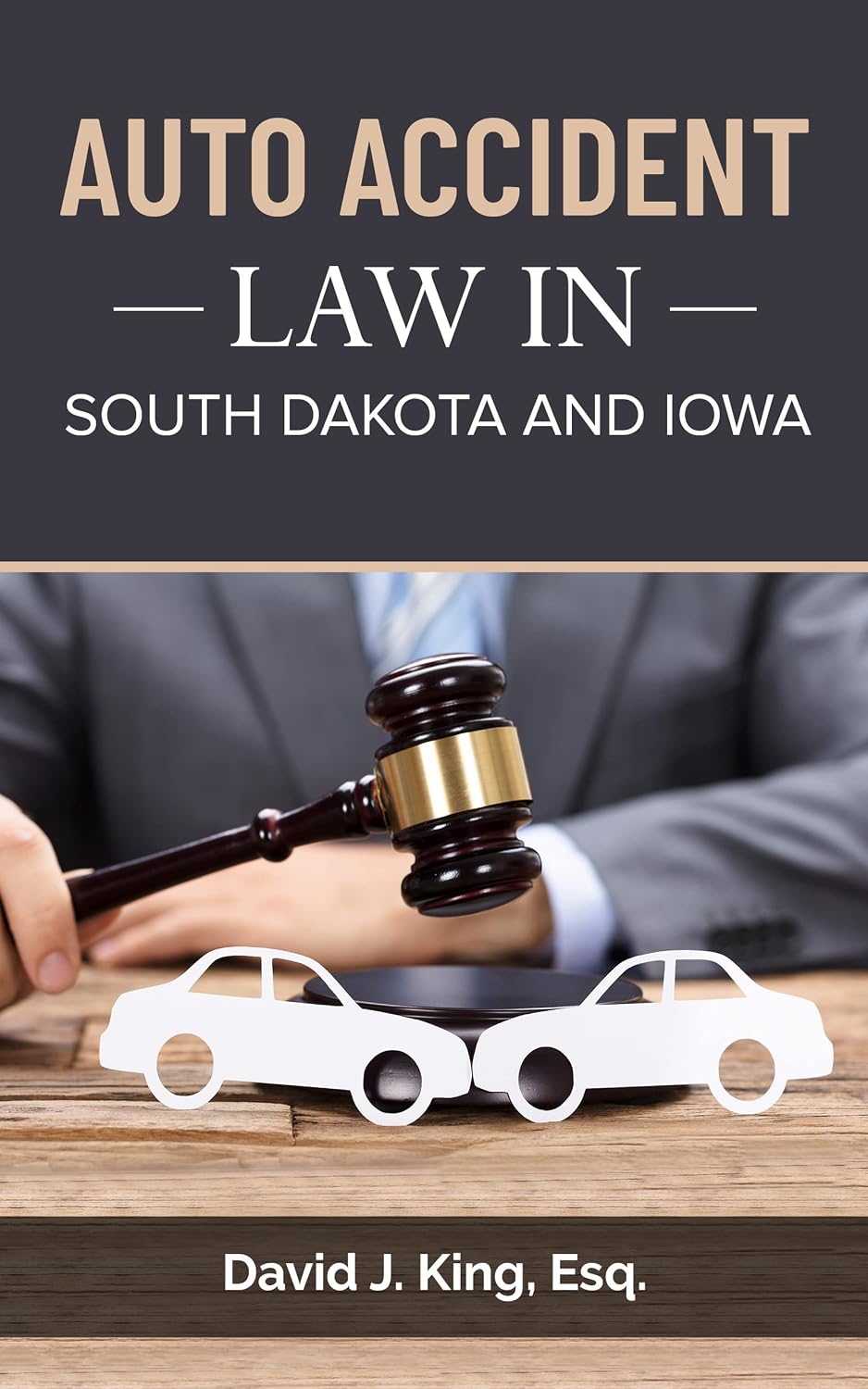 Auto Accident Law In South Dakota And Iowa (English Edition) baixar livro de graça