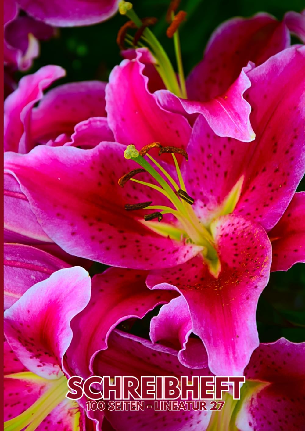 SCHREIBHEFT: 100 Seiten - Lineatur 27: stilvolle pinke Lilien - Notizheft - Schulheft - DIN A4 - liniert mit Außenrändern - für Schule, Beruf, Uni, Alltag und Hobby (German Edition) baixar livro de graça