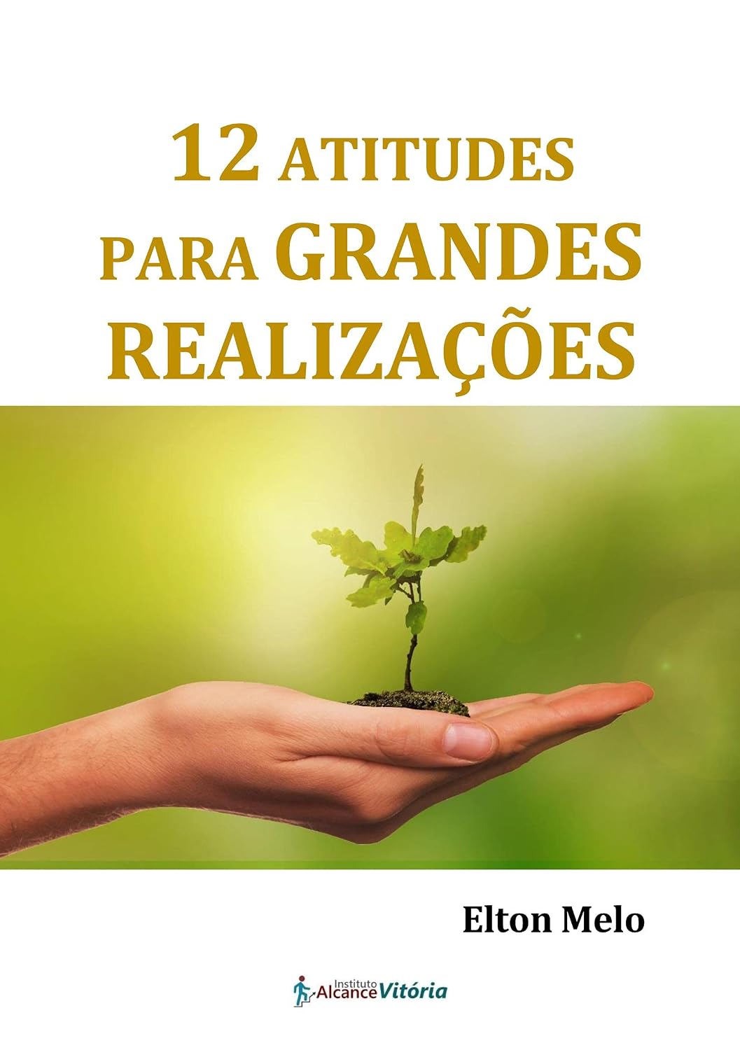 12 Atitudes para grandes realizações baixar livro de graça
