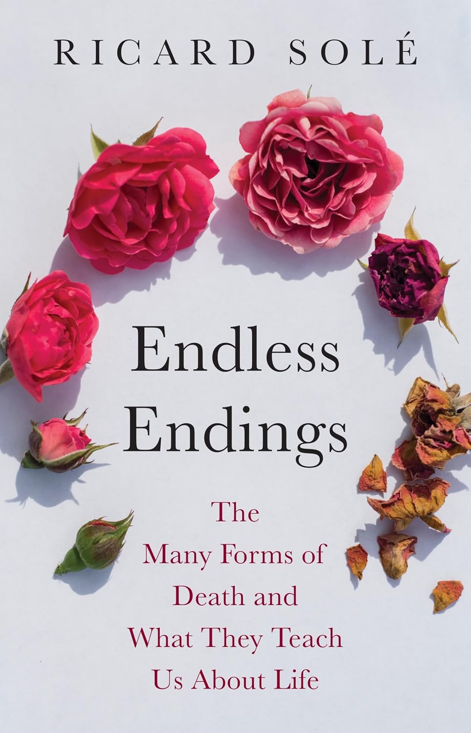 ler totalmente Endless Endings: The Many Forms of Death and What They Teach Us About Life (English Edition)