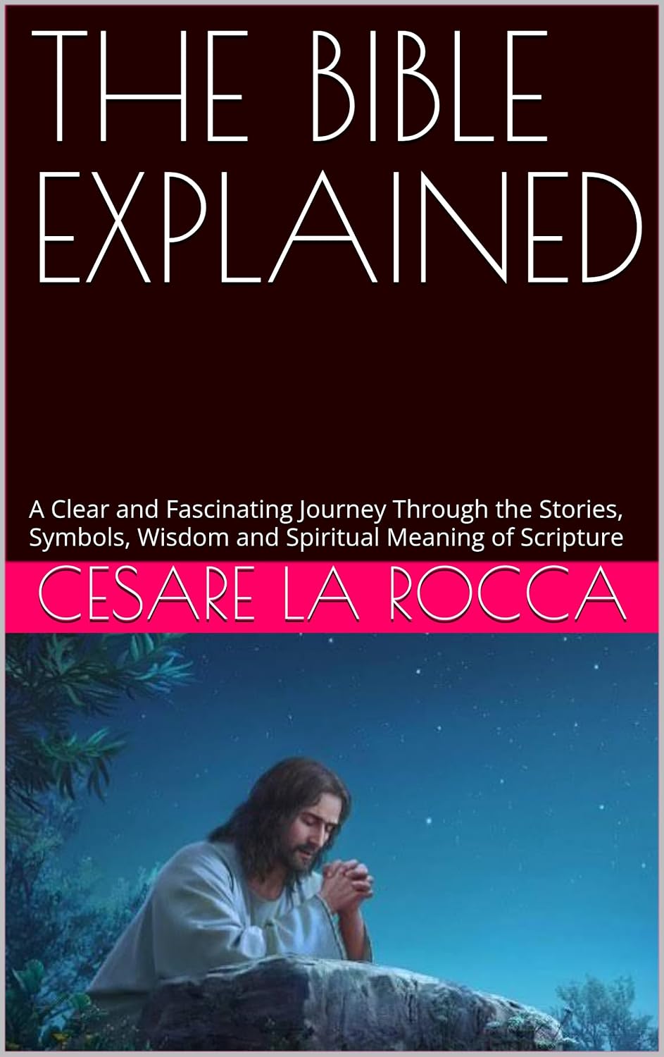ler totalmente THE BIBLE EXPLAINED: A Clear and Fascinating Journey Through the Stories, Symbols, Wisdom and Spiritual Meaning of Scripture (English Edition)