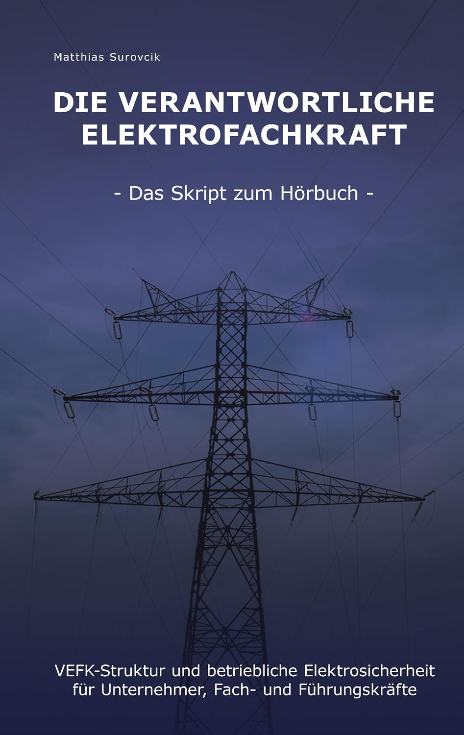 capítulo por capítulo baixar Die Verantwortliche Elektrofachkraft: VEFK-Struktur und Betriebliche Elektrosicherheit für Unternehmer, Fach- und Führungskräfte (German Edition)
