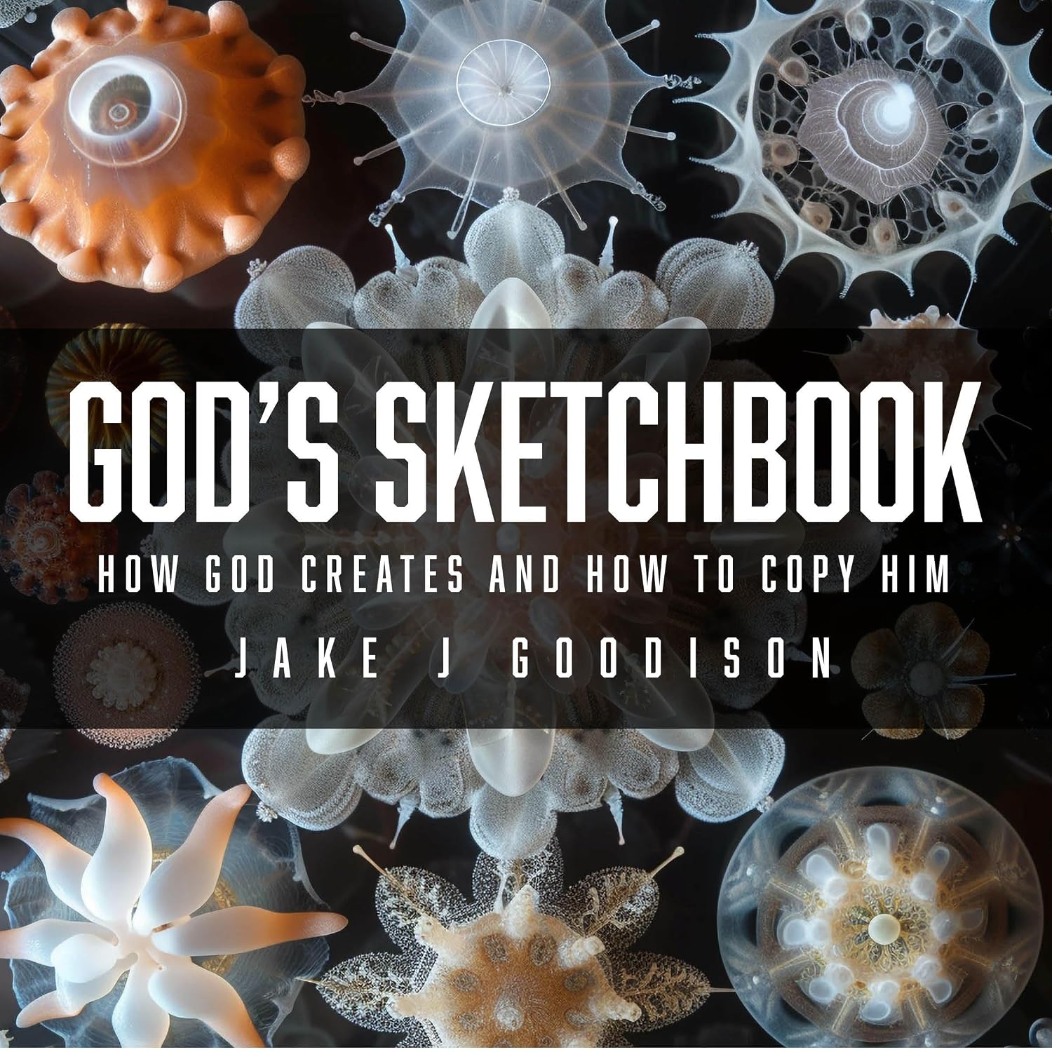 ler totalmente God's Sketchbook: How God Creates and How to Copy Him