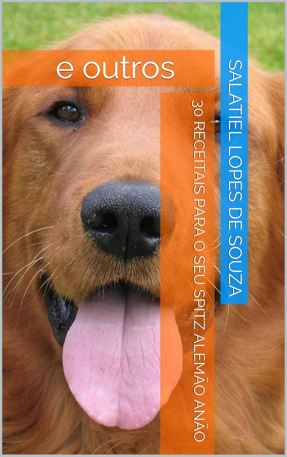 30 RECEITAIS PARA O SEU SPITZ ALEMÃO ANÃO baixar livro de graça