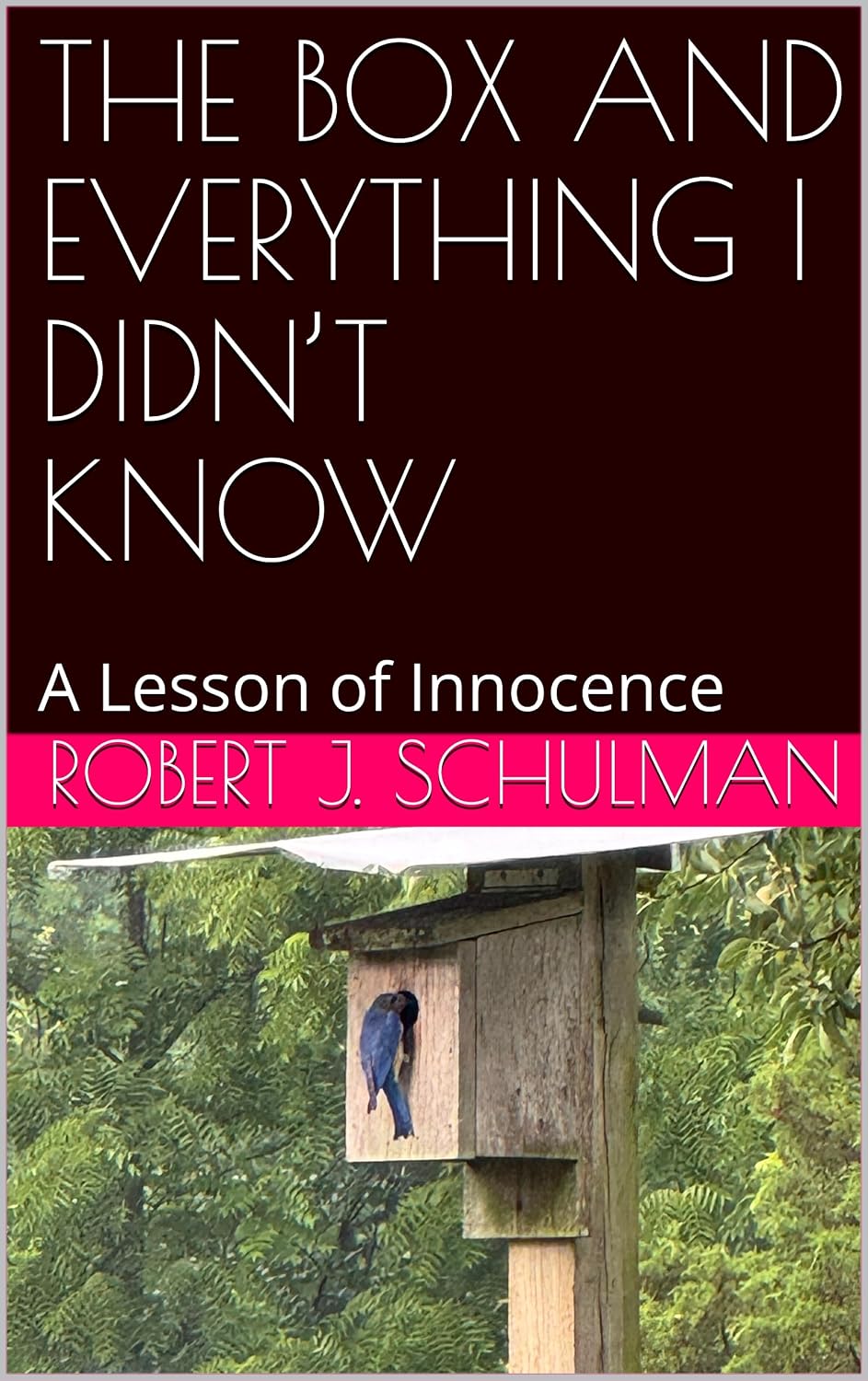 THE BOX AND EVERYTHING I DIDN’T KNOW: A Lesson of Innocence (English Edition)