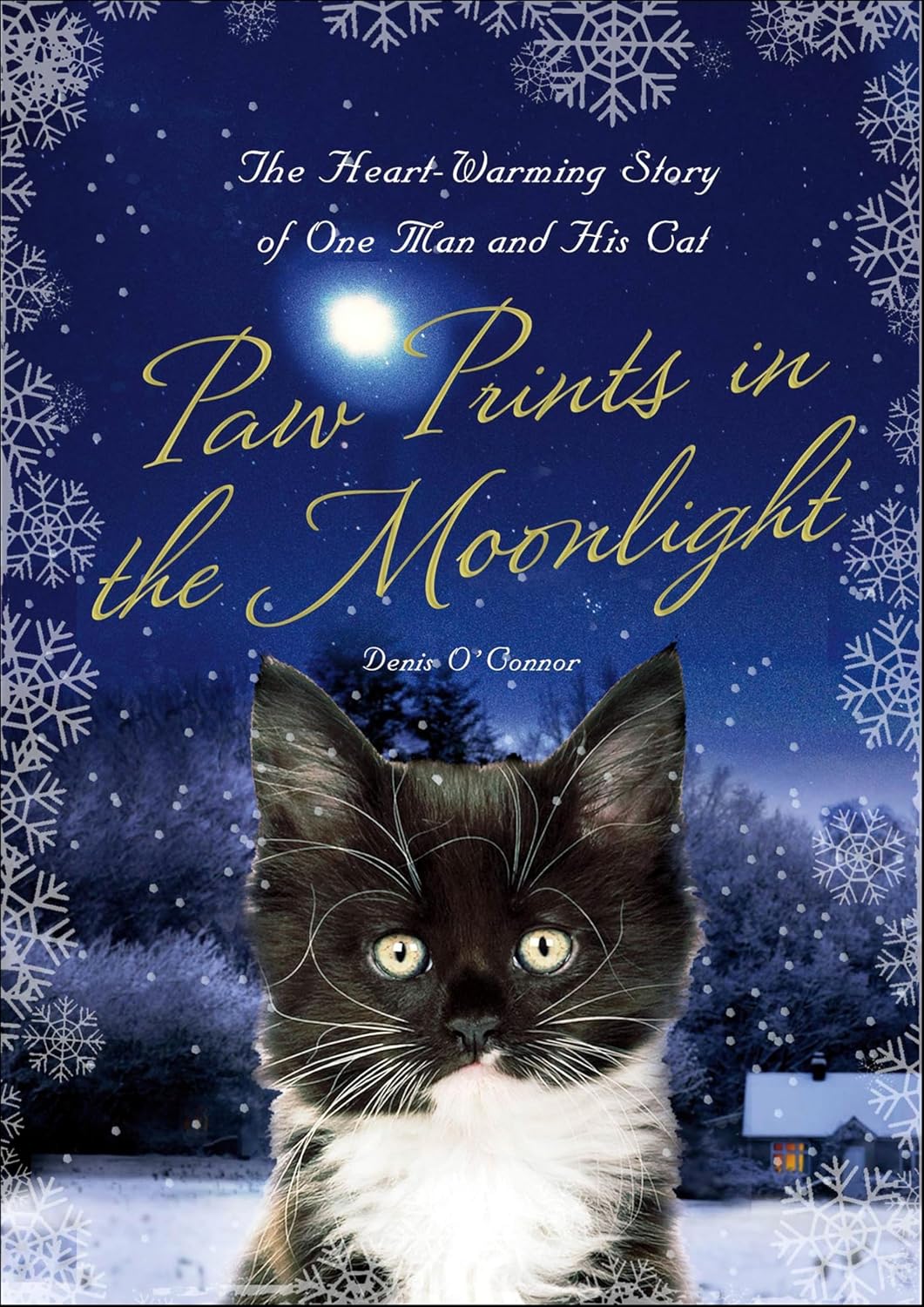 Paw Prints in the Moonlight (English Edition)