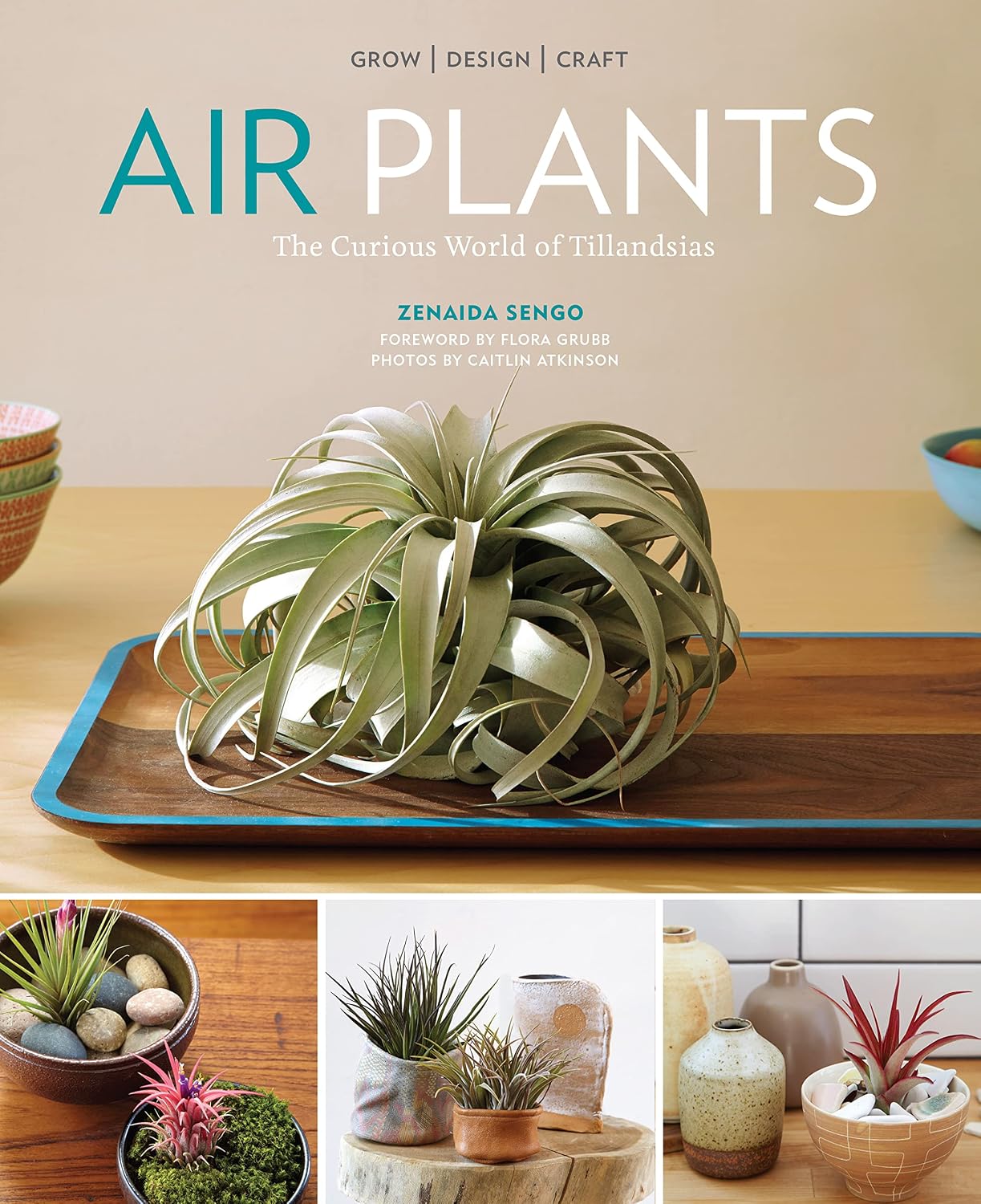 ler totalmente Air Plants: The Curious World of Tillandsias (English Edition)