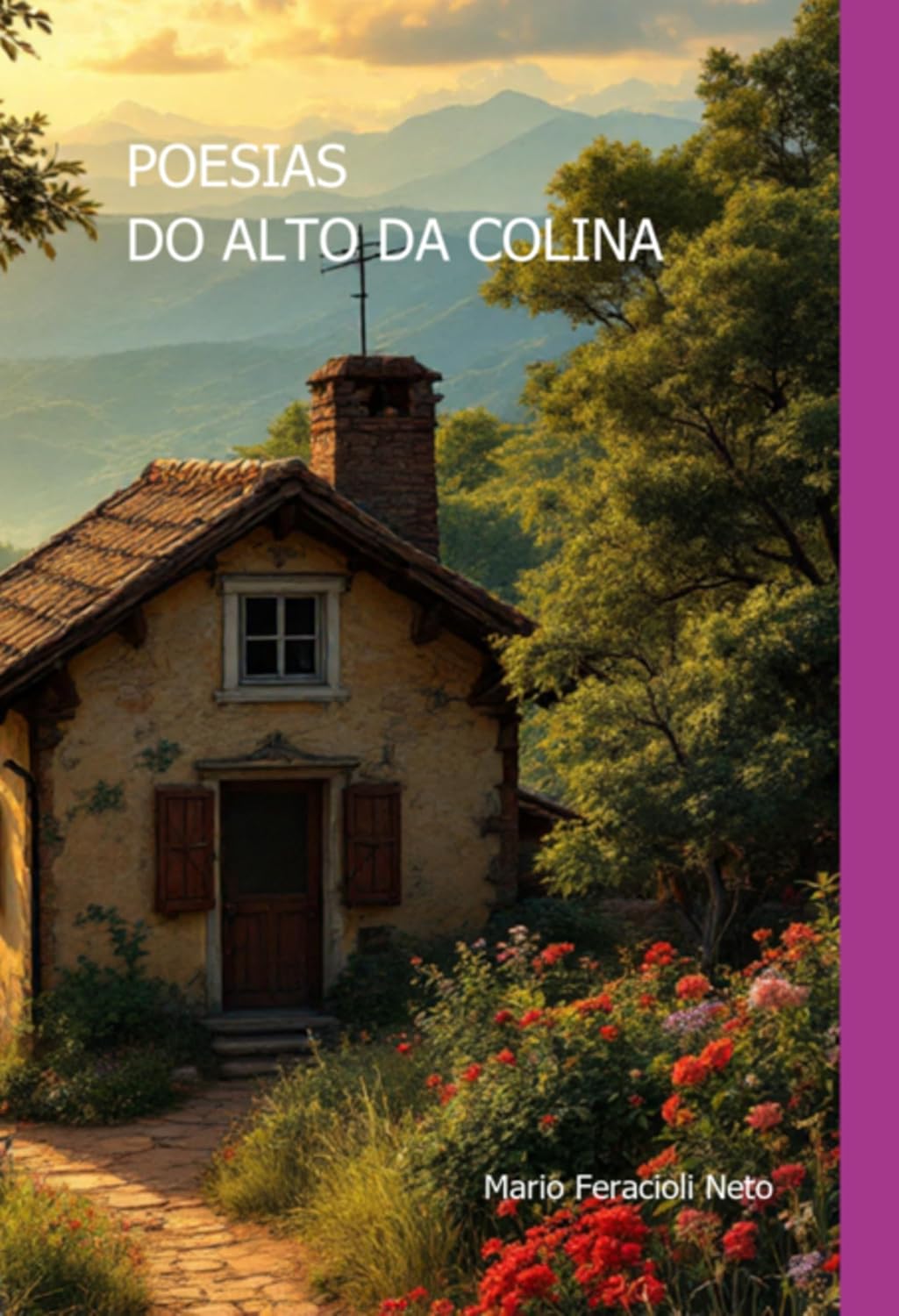 Poesias Do Alto Da Colina baixar o livro de graça