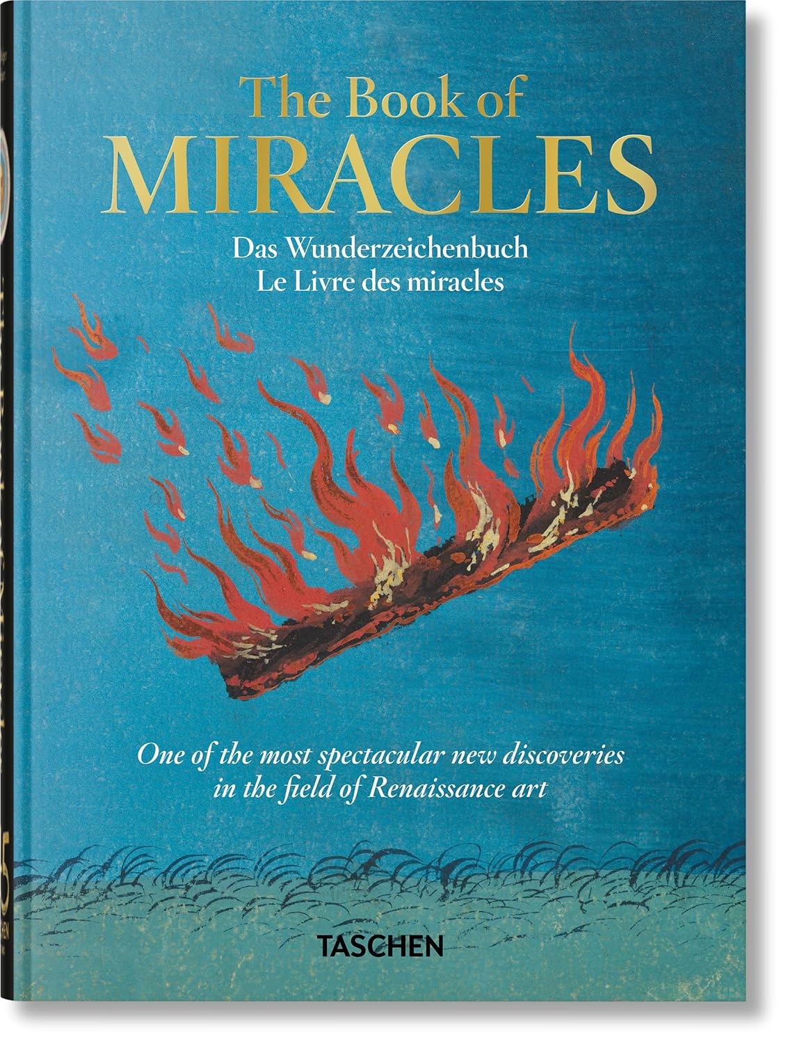capítulo por capítulo baixar The book of miracles. 45th ed.