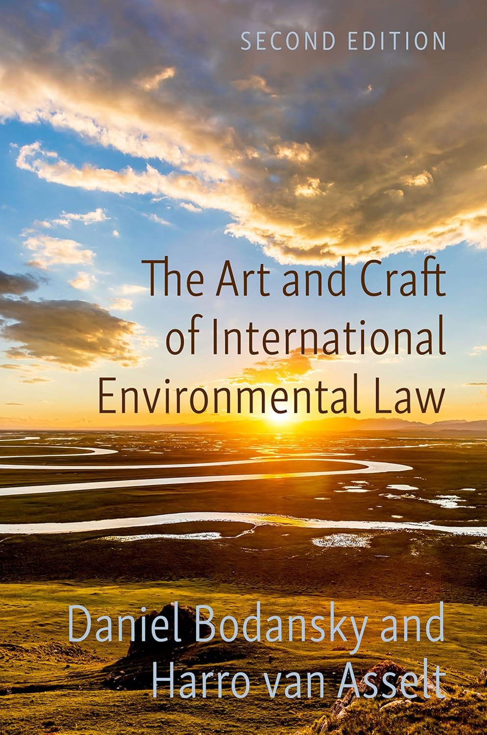 The Art and Craft of International Environmental Law (English Edition) baixar livro de graça