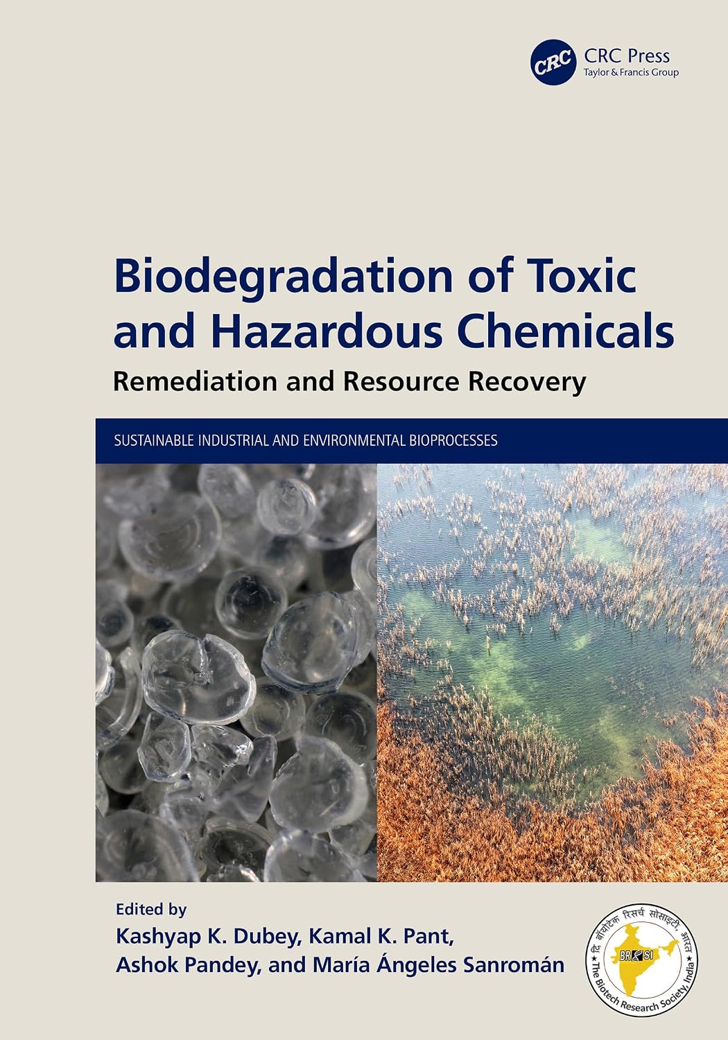 ler totalmente Biodegradation of Toxic and Hazardous Chemicals: Remediation and Resource Recovery (Sustainable Industrial and Environmental Bioprocesses) (English Edition)