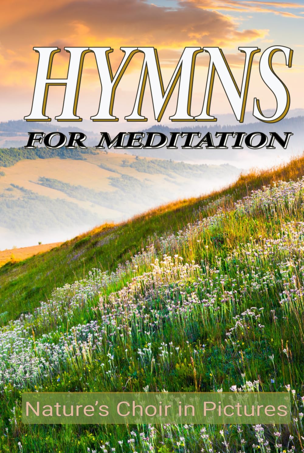 ler totalmente Hymns for Meditation: Nature's Choir in Pictures