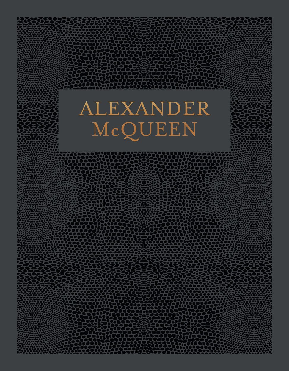 ler totalmente Alexander McQueen: Inside the Creative Mind of a Legendary Fashion Designer