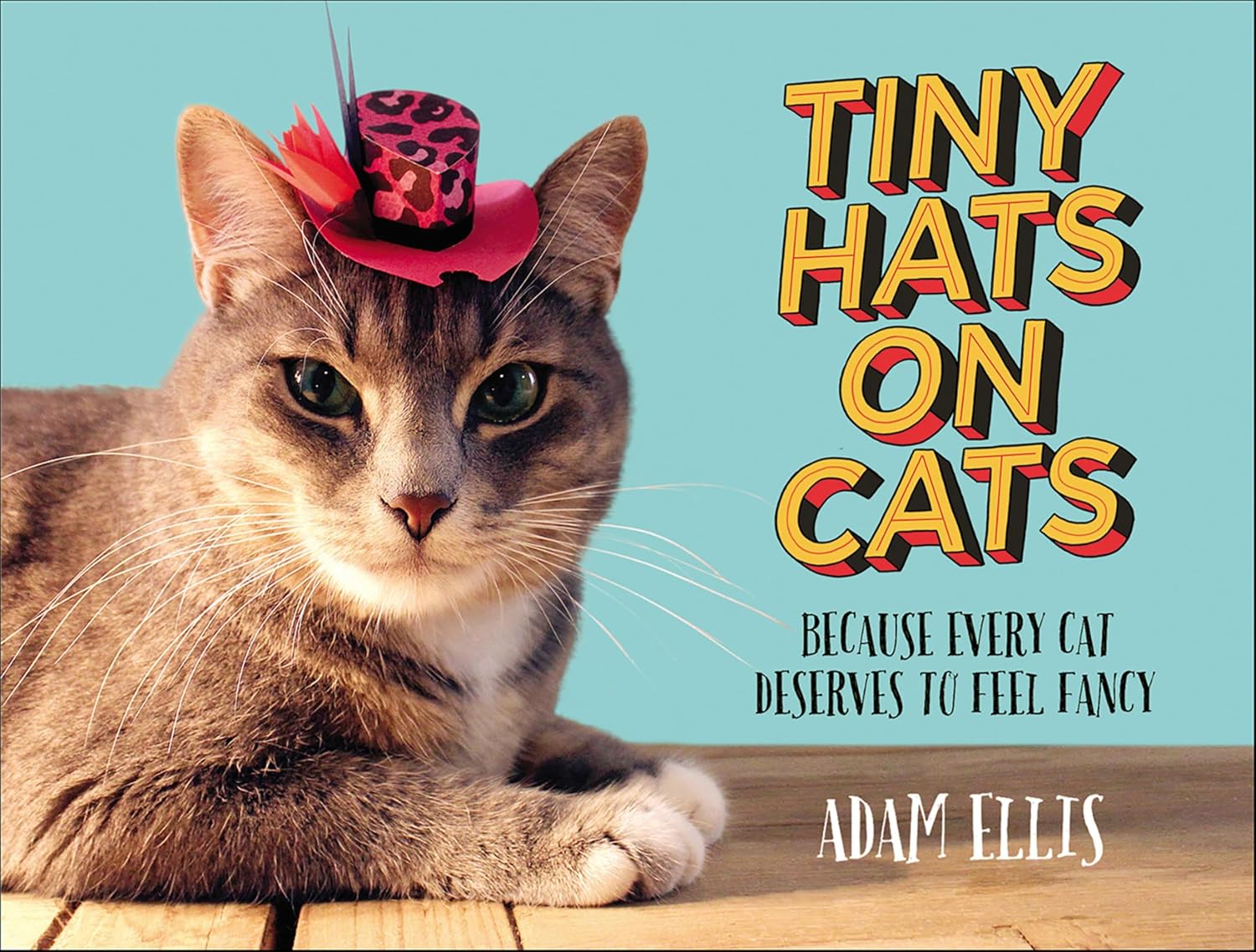 Tiny Hats on Cats: Because Every Cat Deserves to Feel Fancy (English Edition)