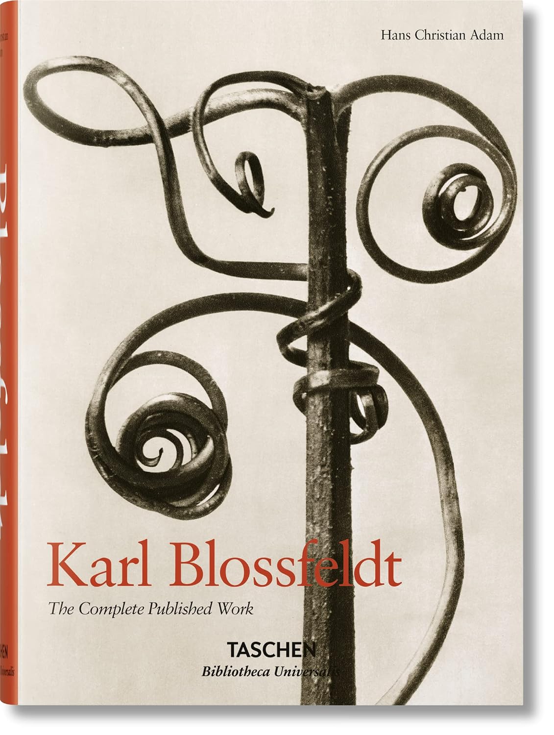 Karl blossfeldt: the complete published work baixar livro de graça
