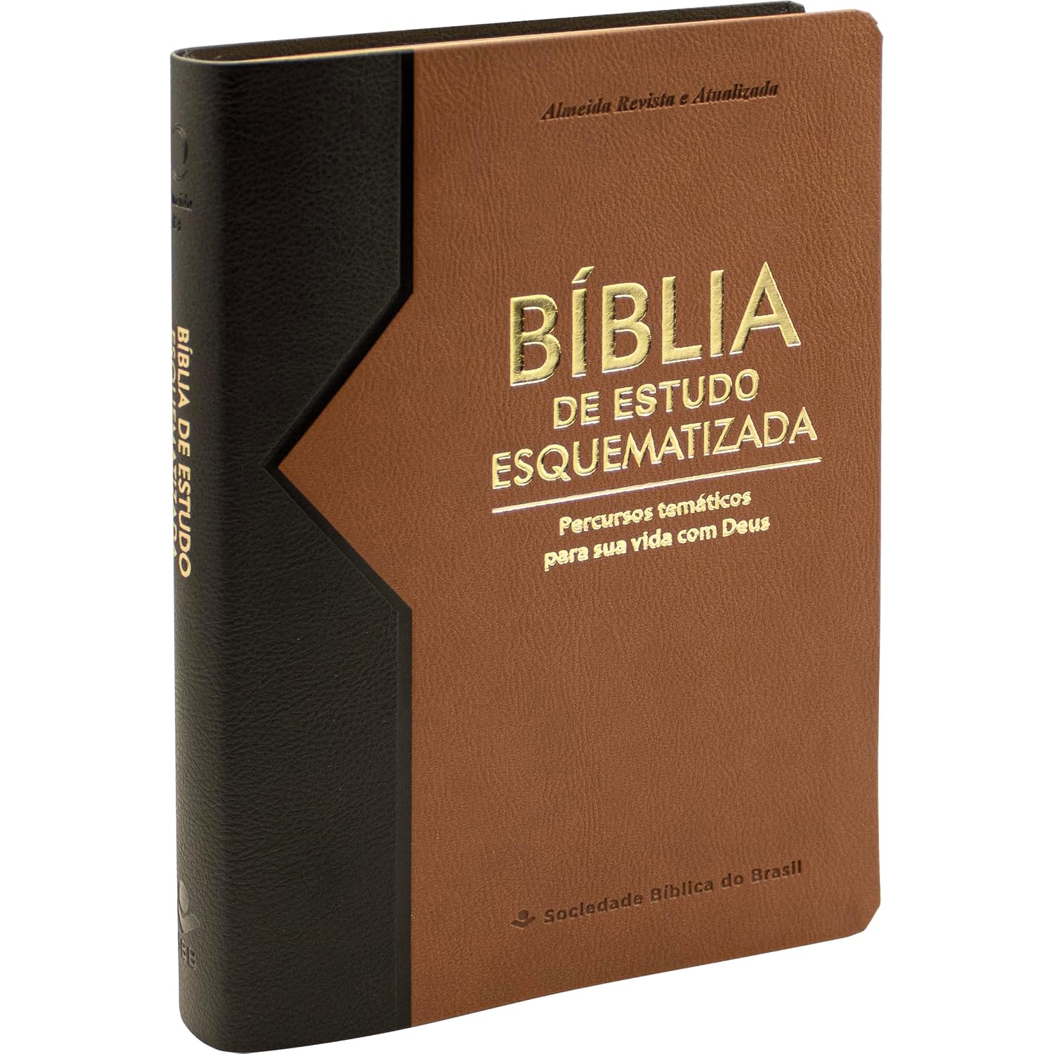 Bíblia Sagrada ARA de Estudo Esquematizada, Letra Regular, com mapa, Capa Couro Sintético Preta: Almeida Revista e Atualizada (ARA) baixar o livro de graça