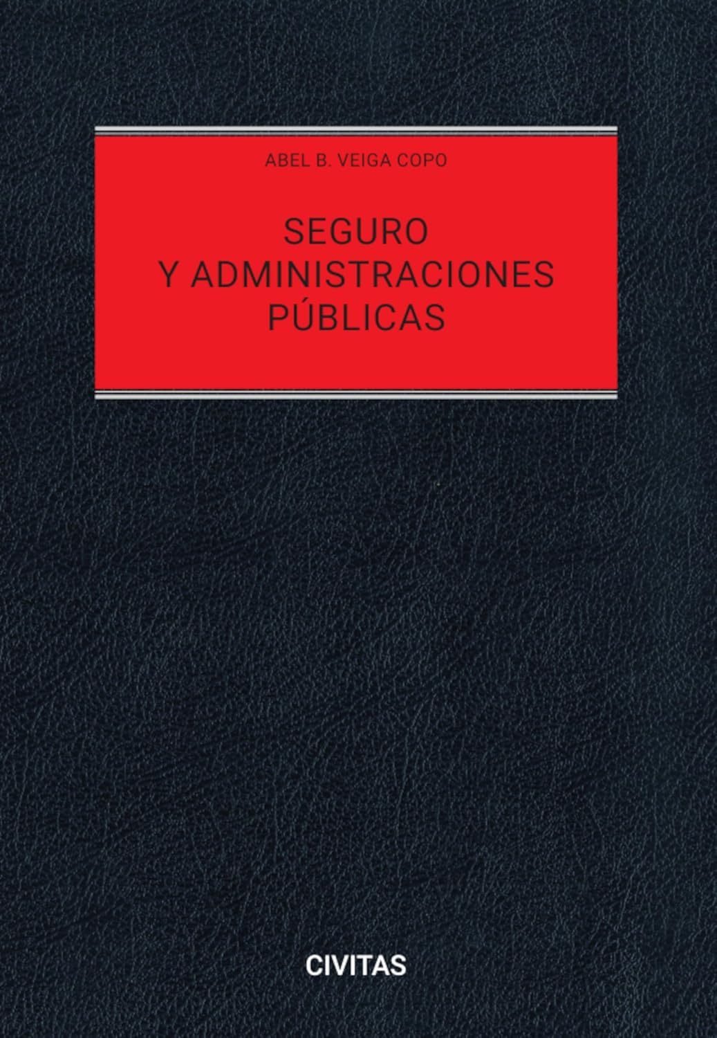 Seguro y Administraciones Públicas (Estudios y Comentarios de Civitas) (Spanish Edition) baixar livro de graça