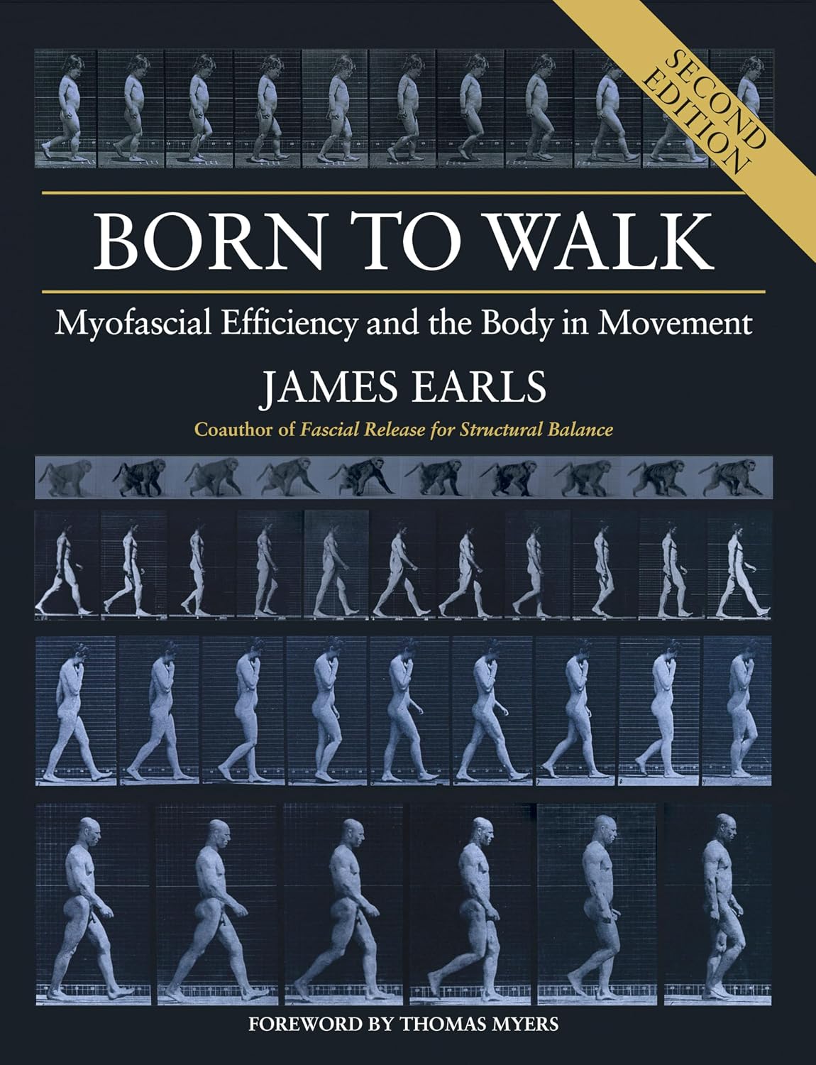 Born to Walk, Second Edition: Myofascial Efficiency and the Body in Movement baixar livro de graça