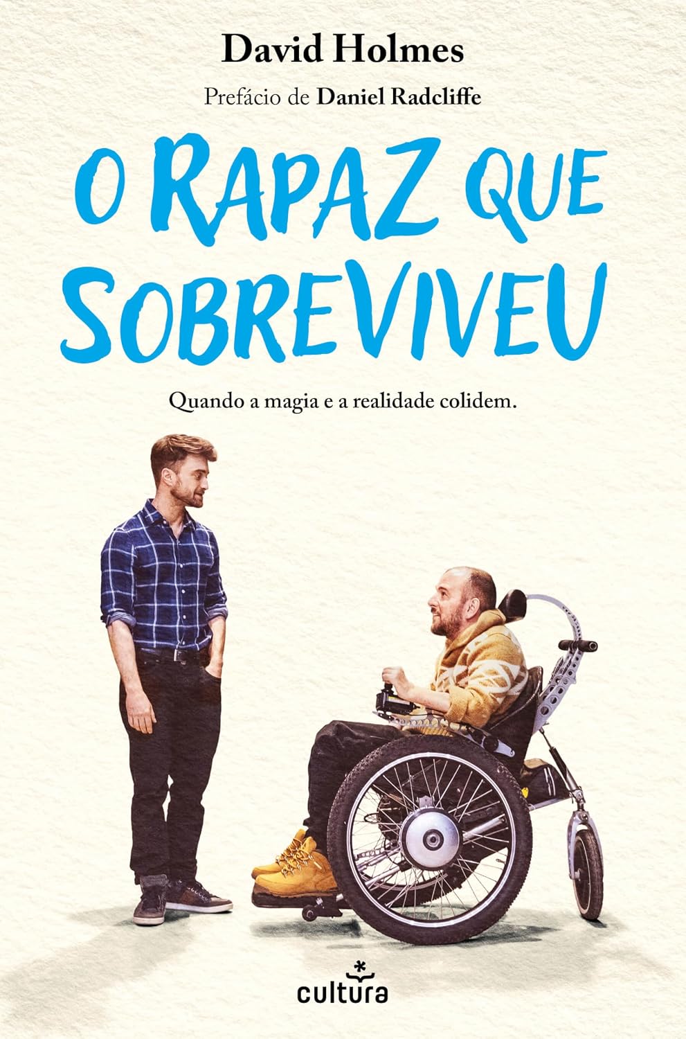 O Rapaz Que Sobreviveu baixar o livro de graça