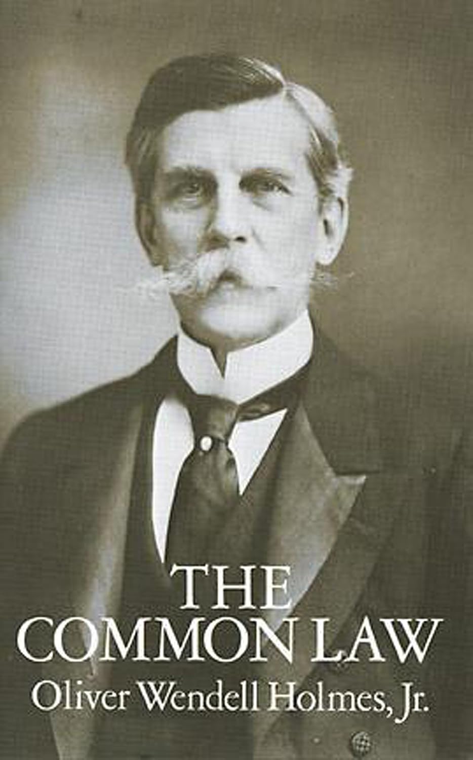 ler totalmente The Common Law (English Edition)