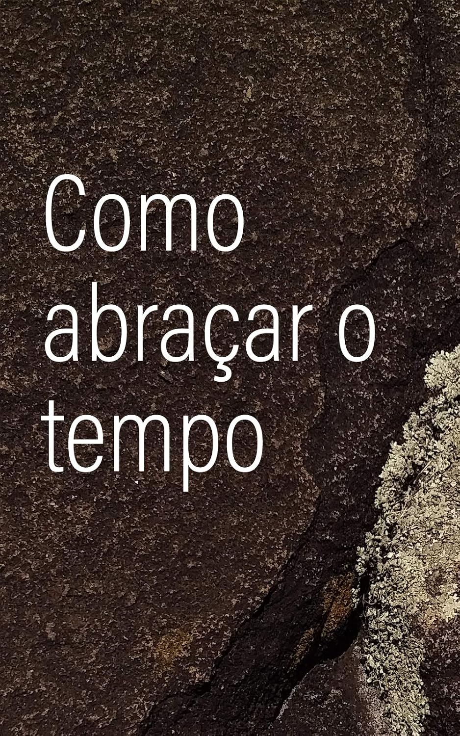 Como Abraçar o Tempo baixar o livro de graça