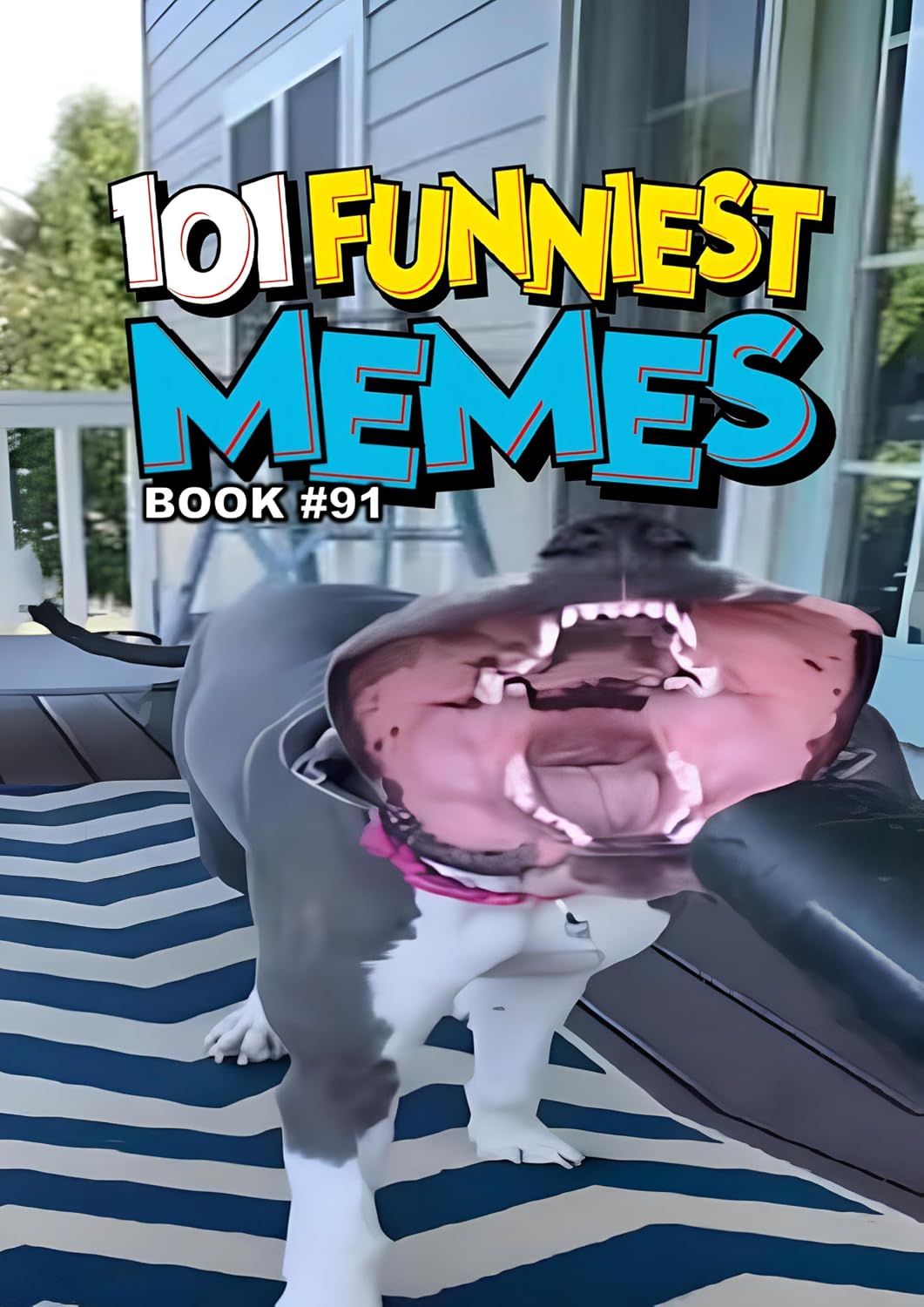 101 FUNNIEST MEMES: BOOK 91 (English Edition)