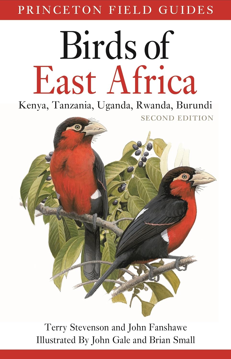 capítulo por capítulo baixar Birds of East Africa: Kenya, Tanzania, Uganda, Rwanda, Burundi Second Edition: 127
