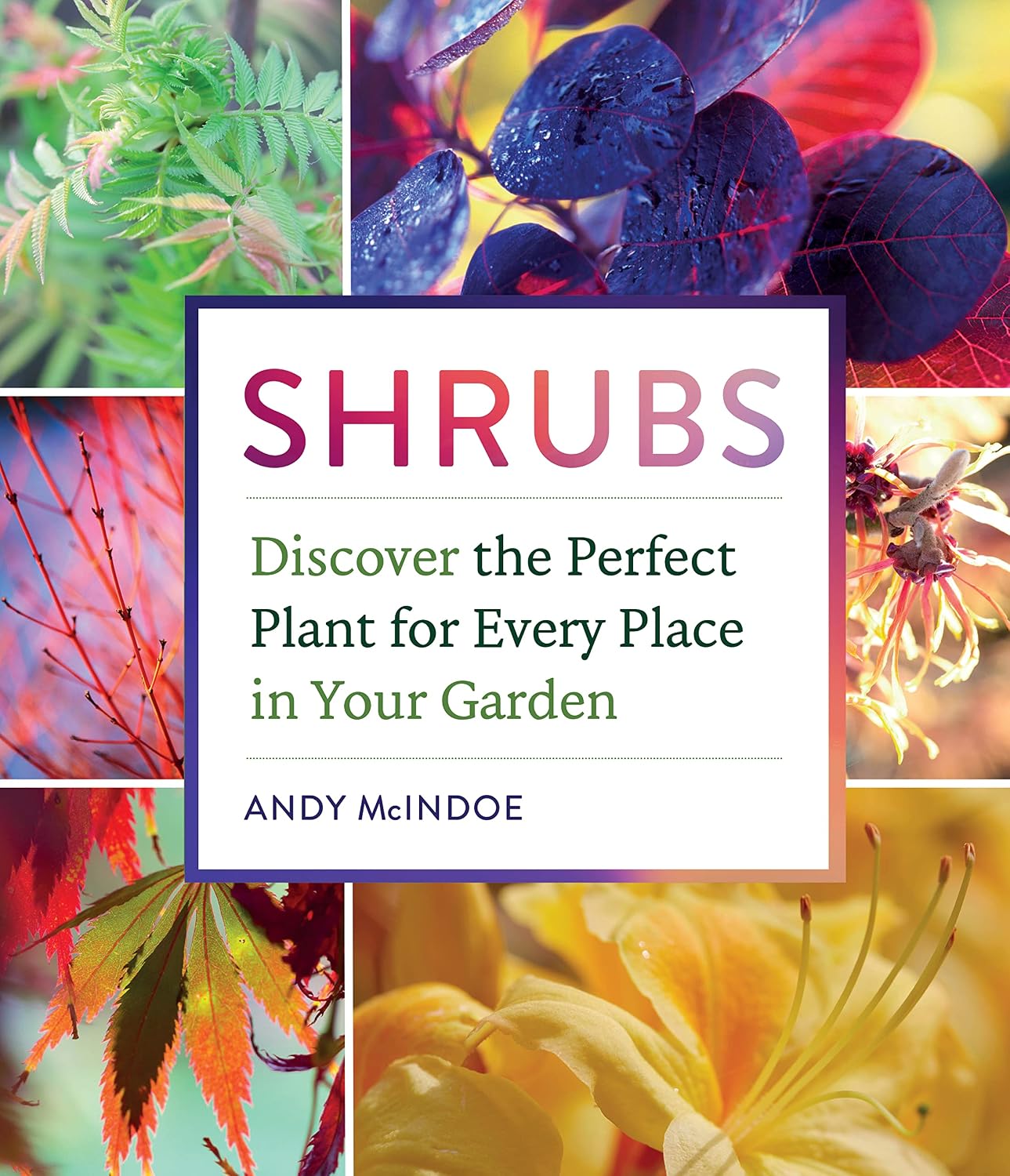 Shrubs: Discover the Perfect Plant for Every Place in Your Garden (English Edition) baixar o livro de graça